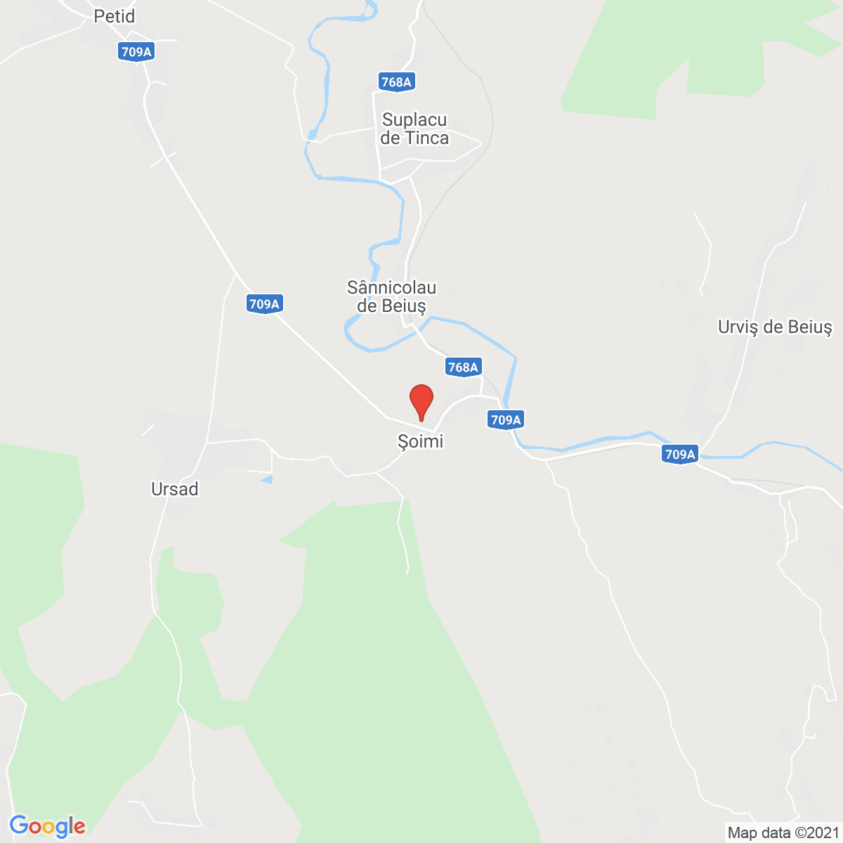 Şoimi