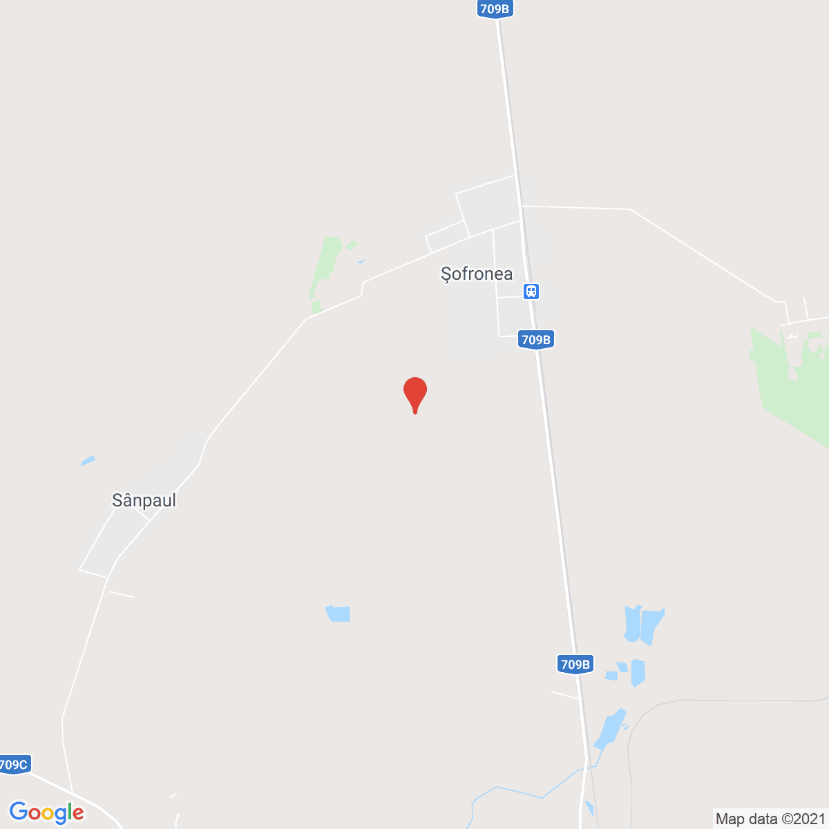 Şofronea