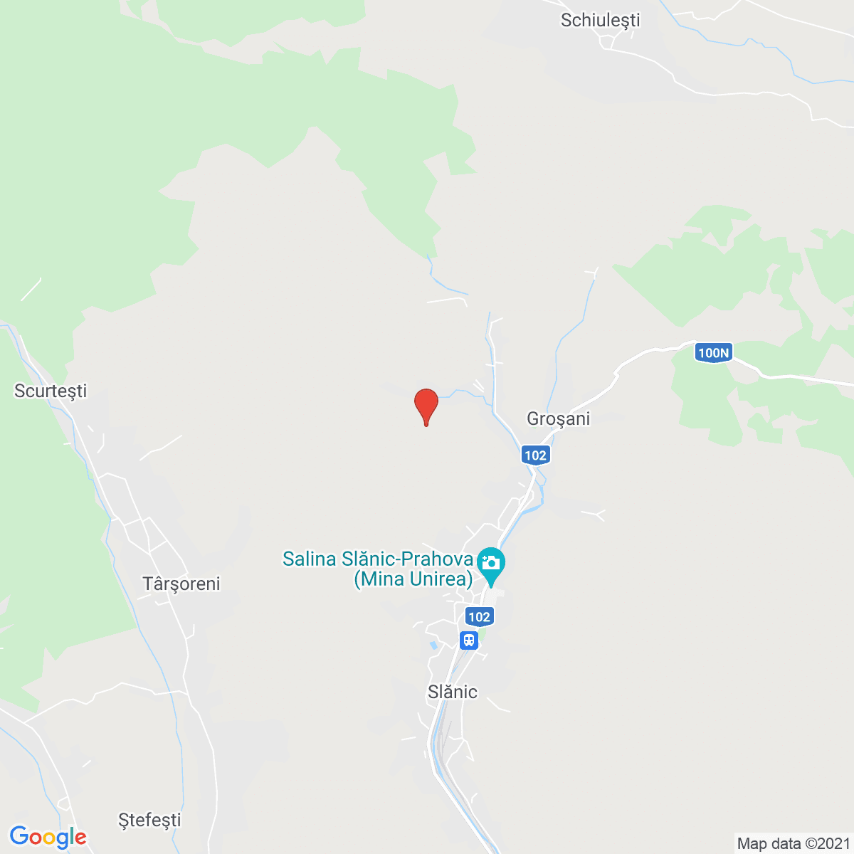 Slănic