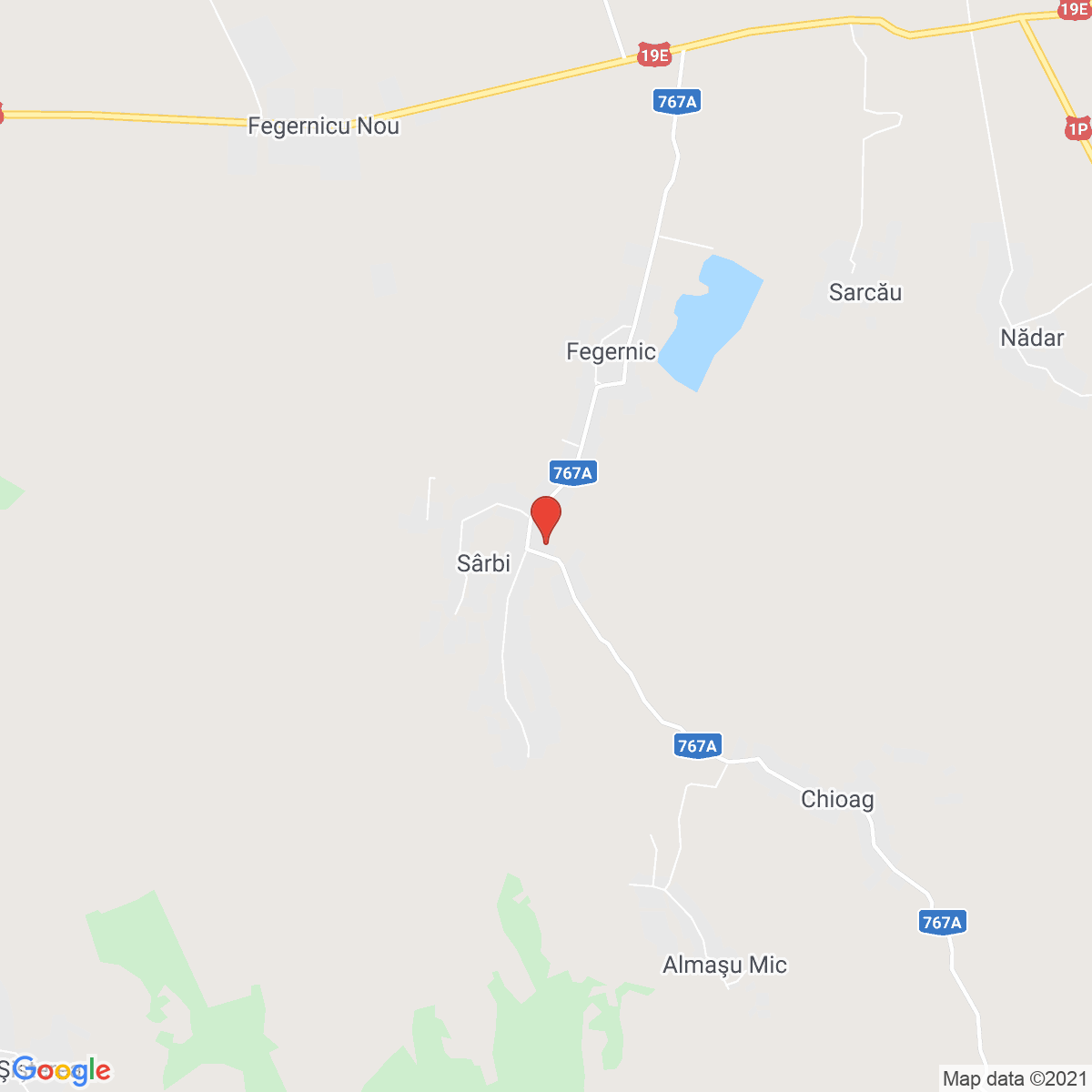Sârbi