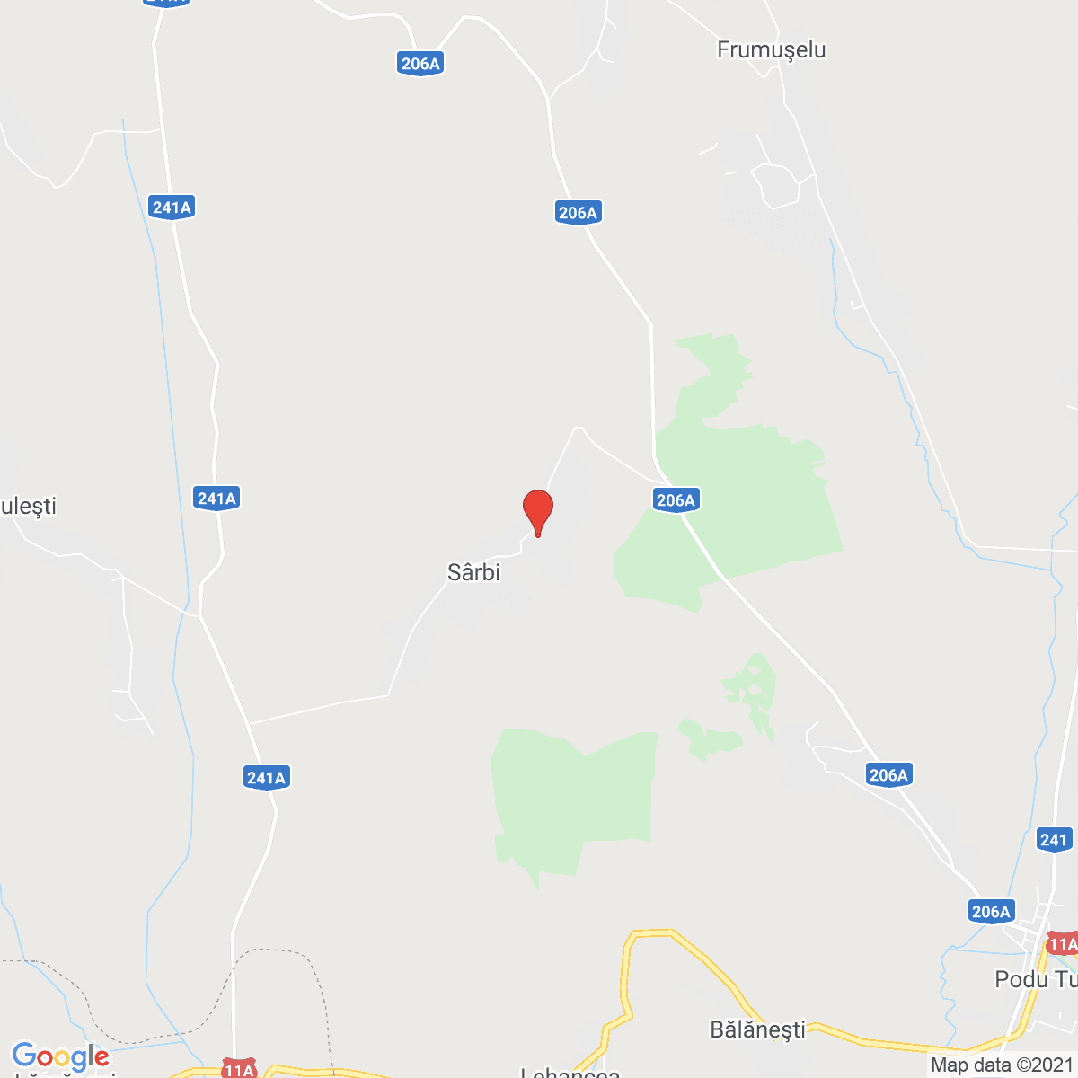 Sârbi