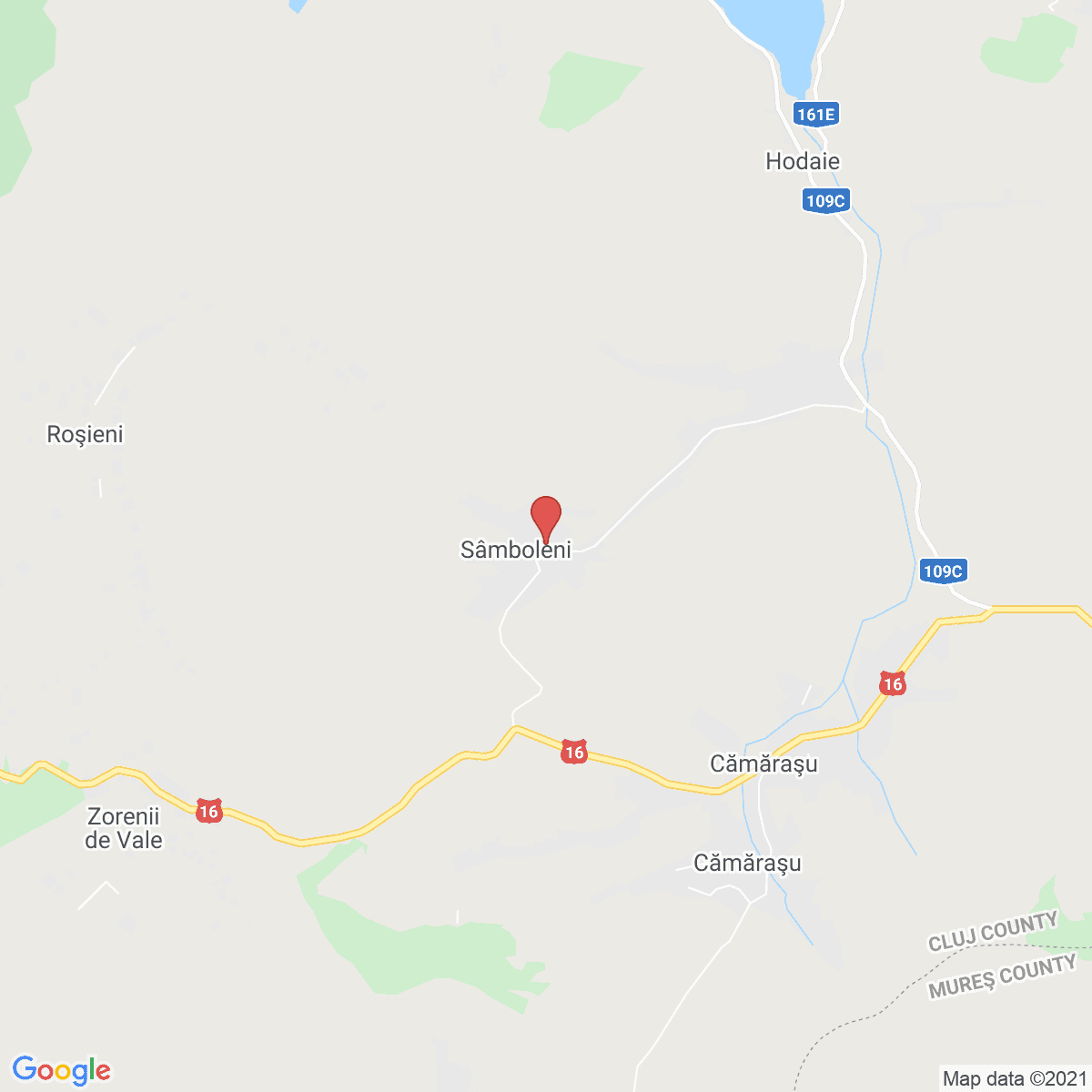 Sâmboleni