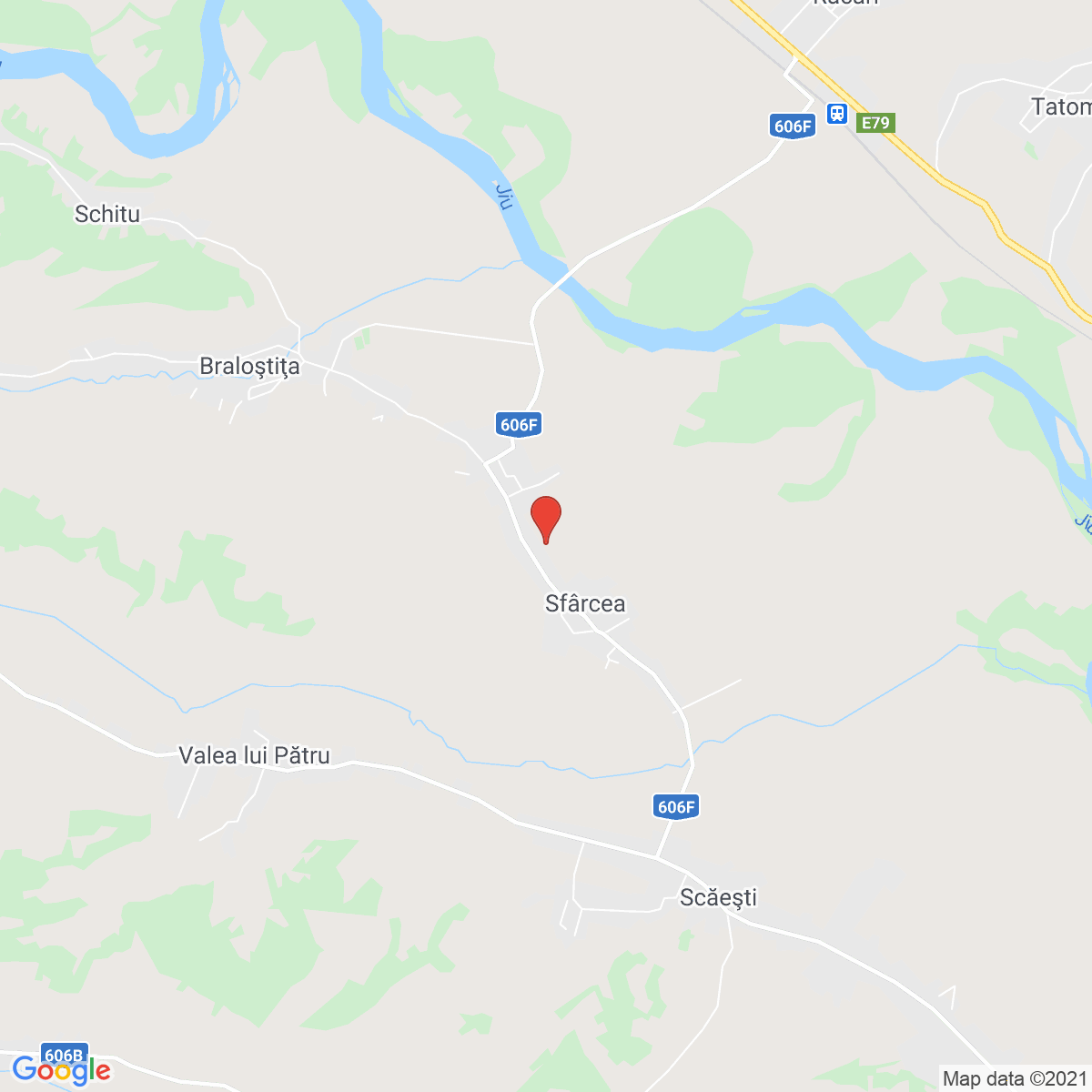 Sfârcea