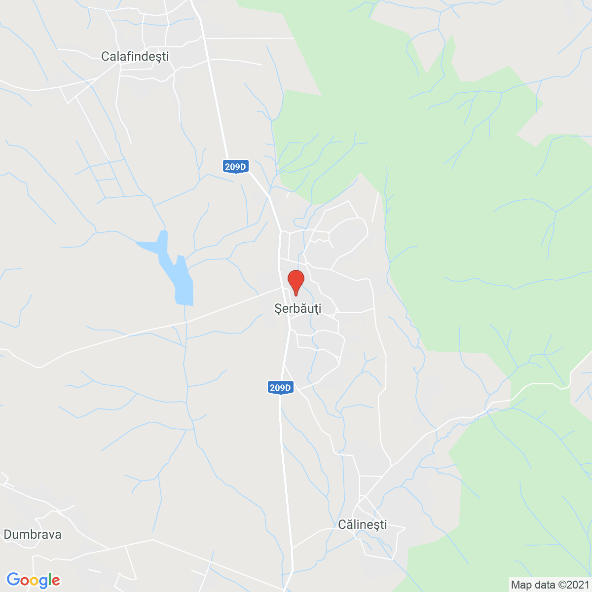 Șerbăuți