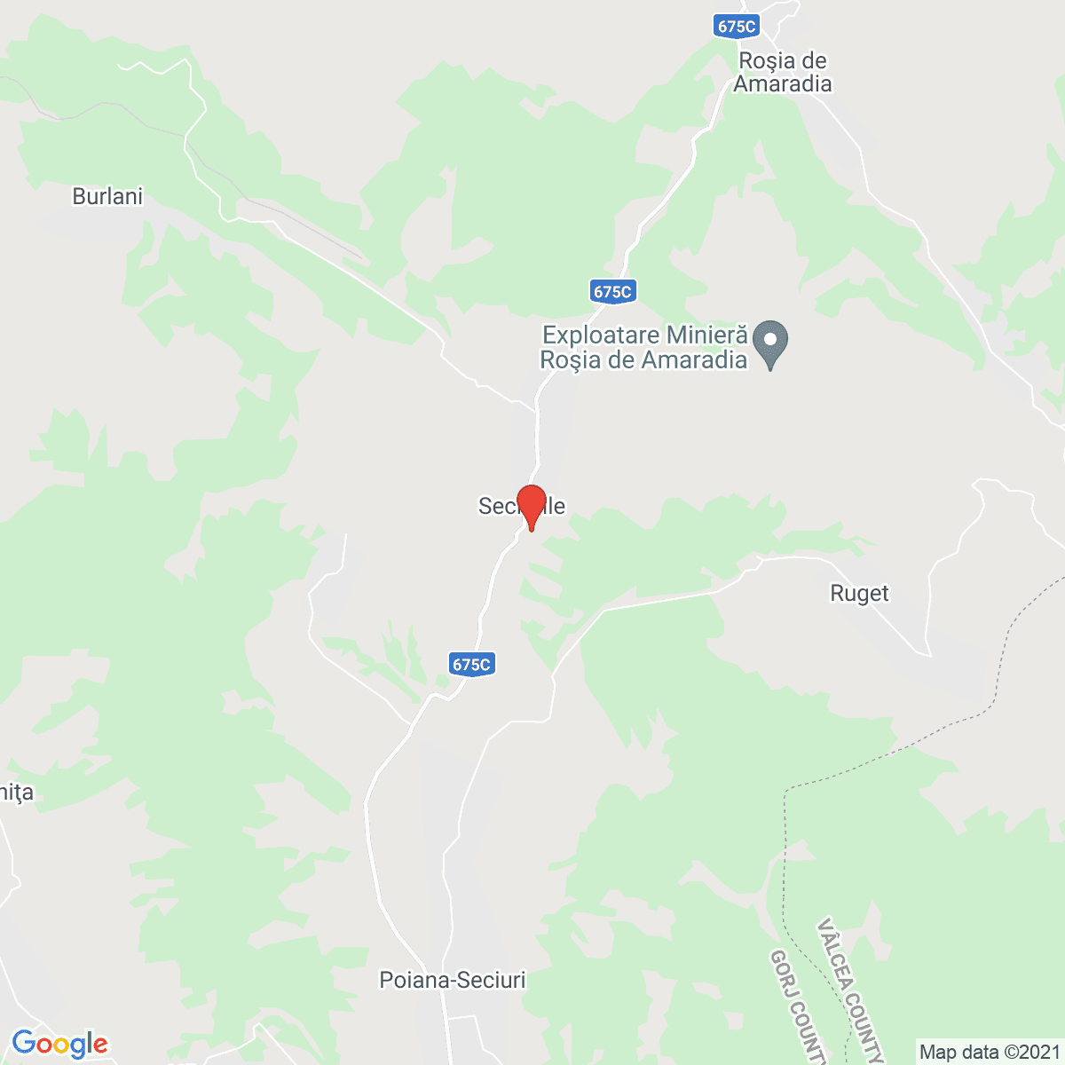Seciurile