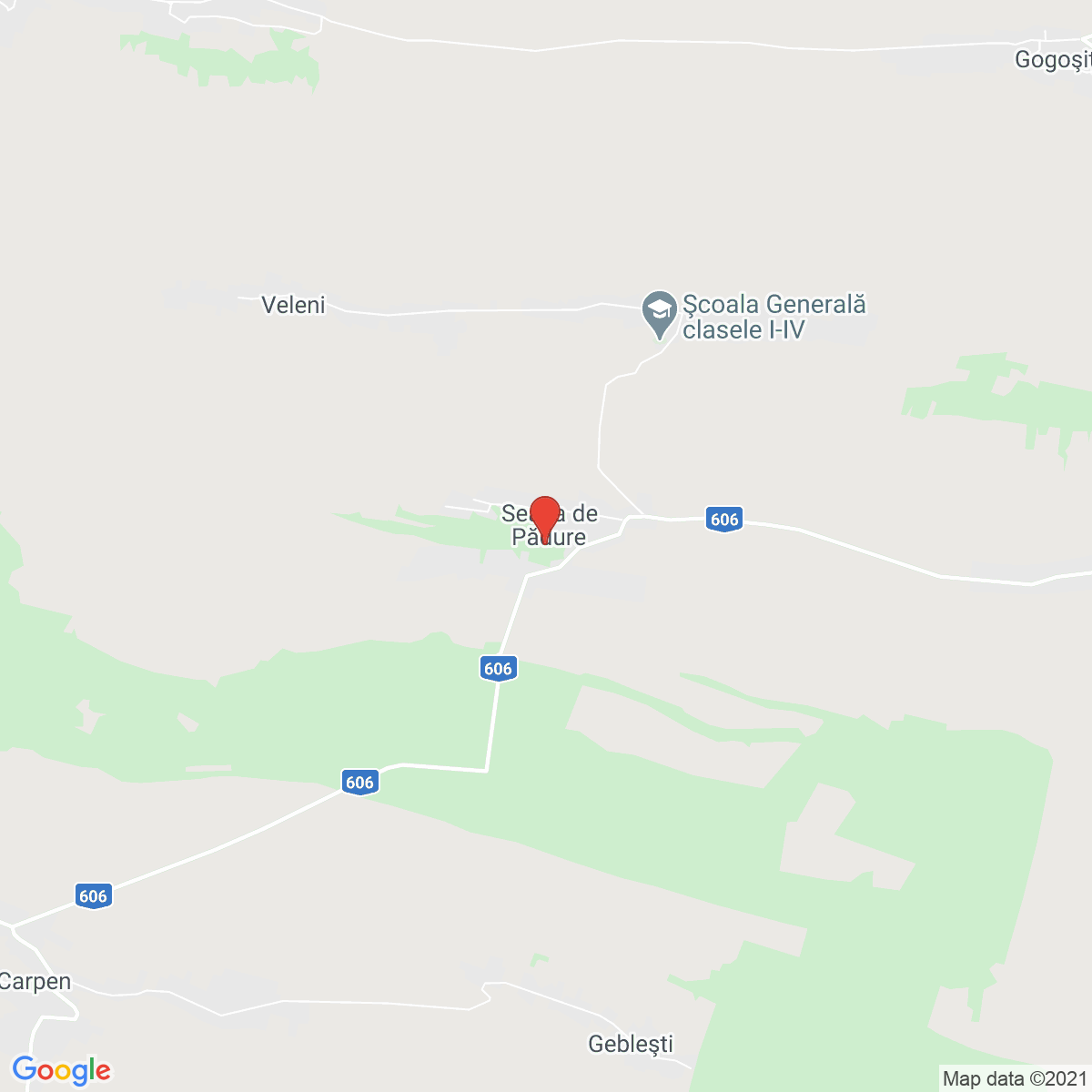 Seaca de Pădure