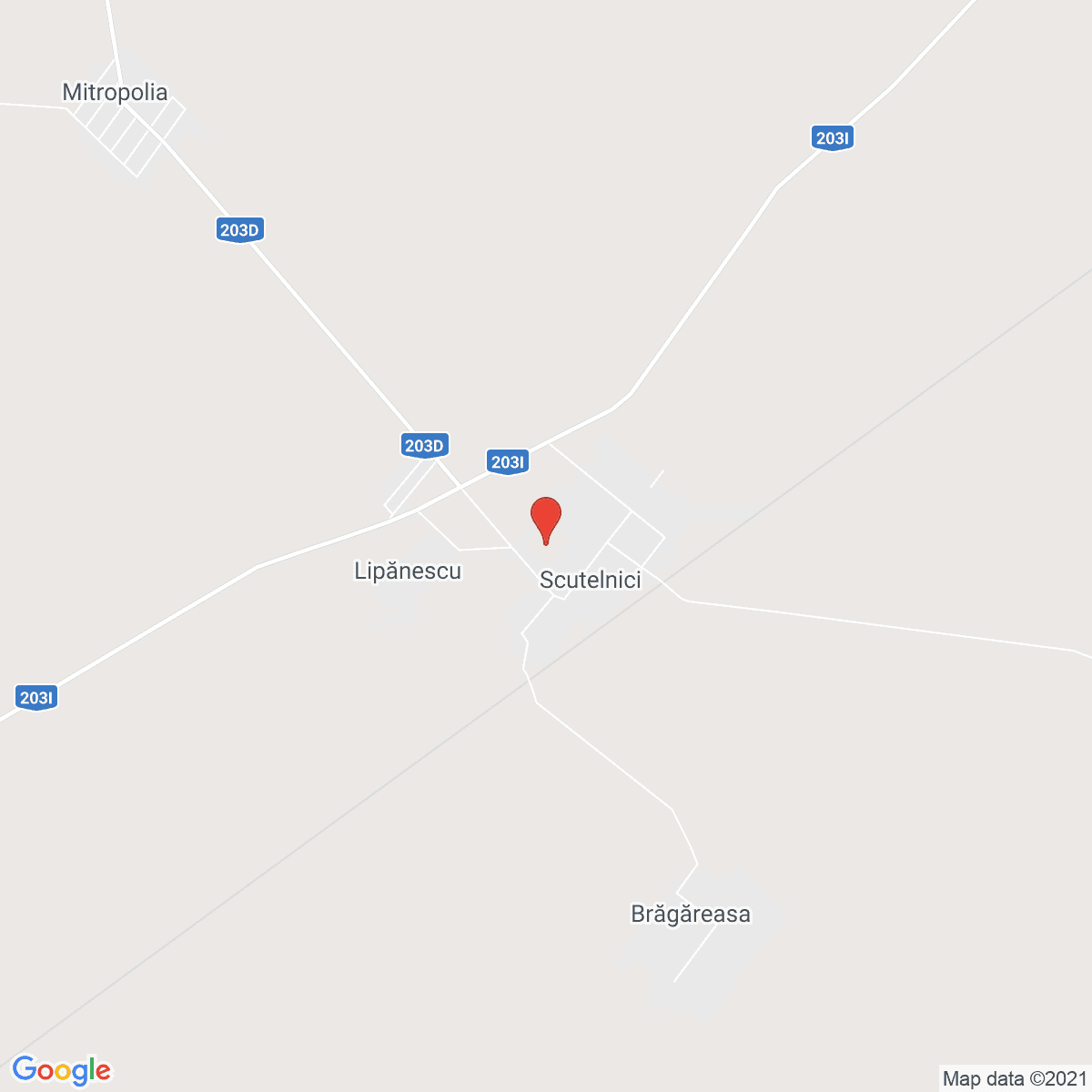 Scutelnici