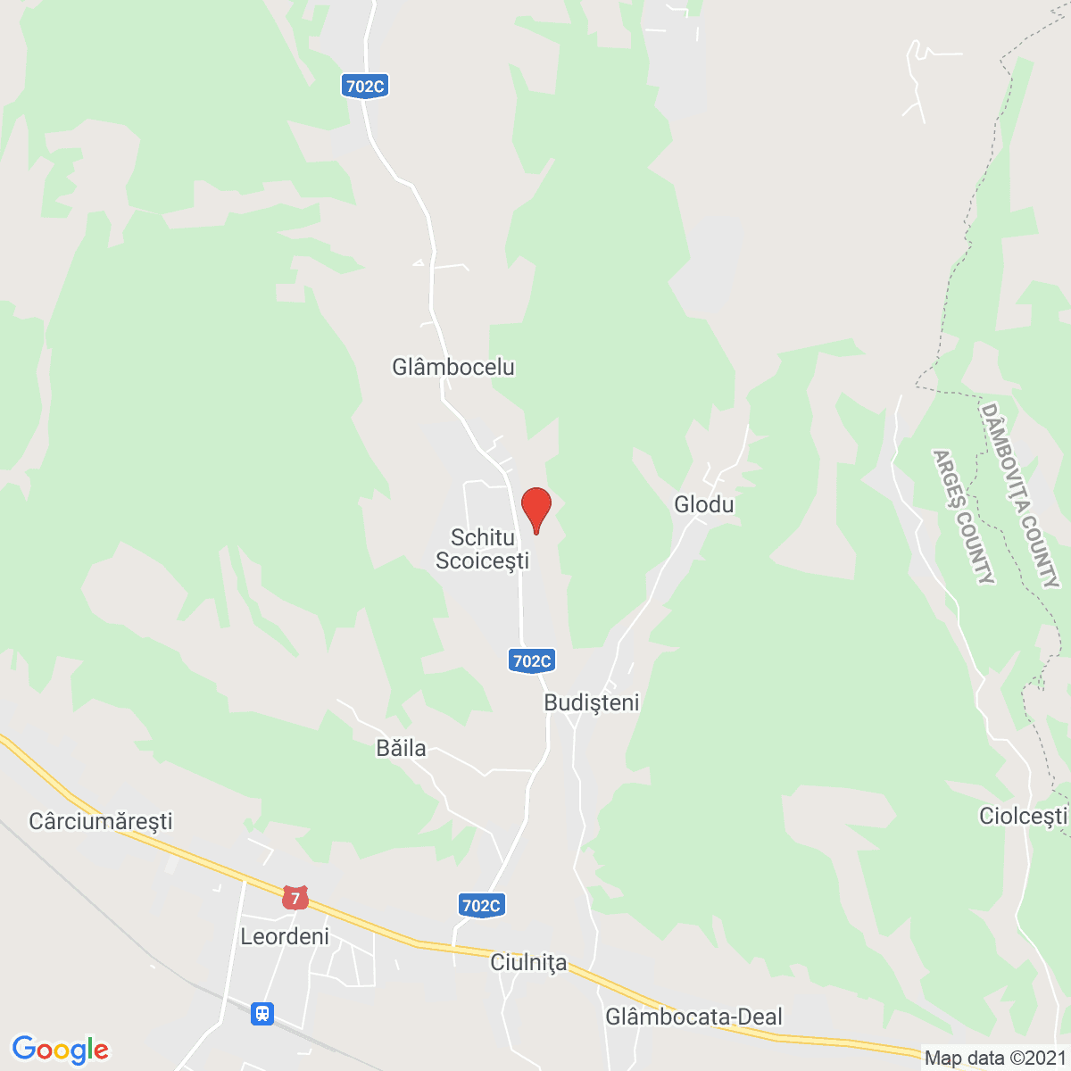 Schitu Scoicești