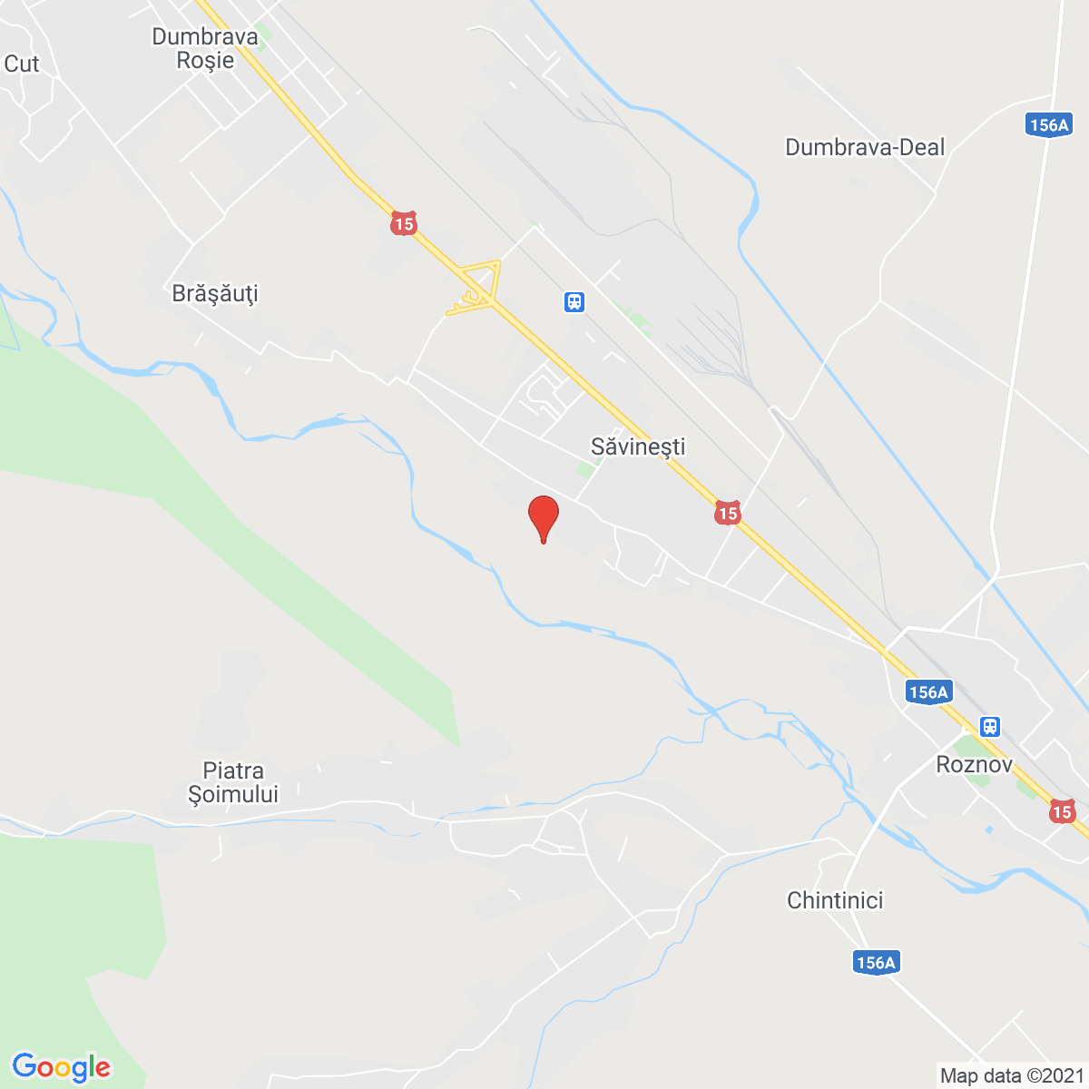 Săvineşti