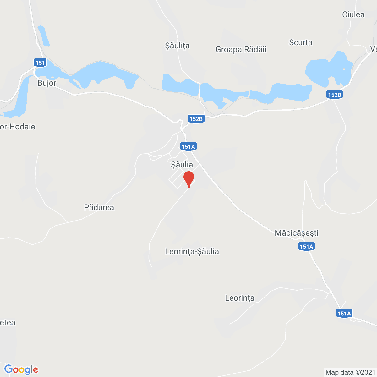 Şăulia