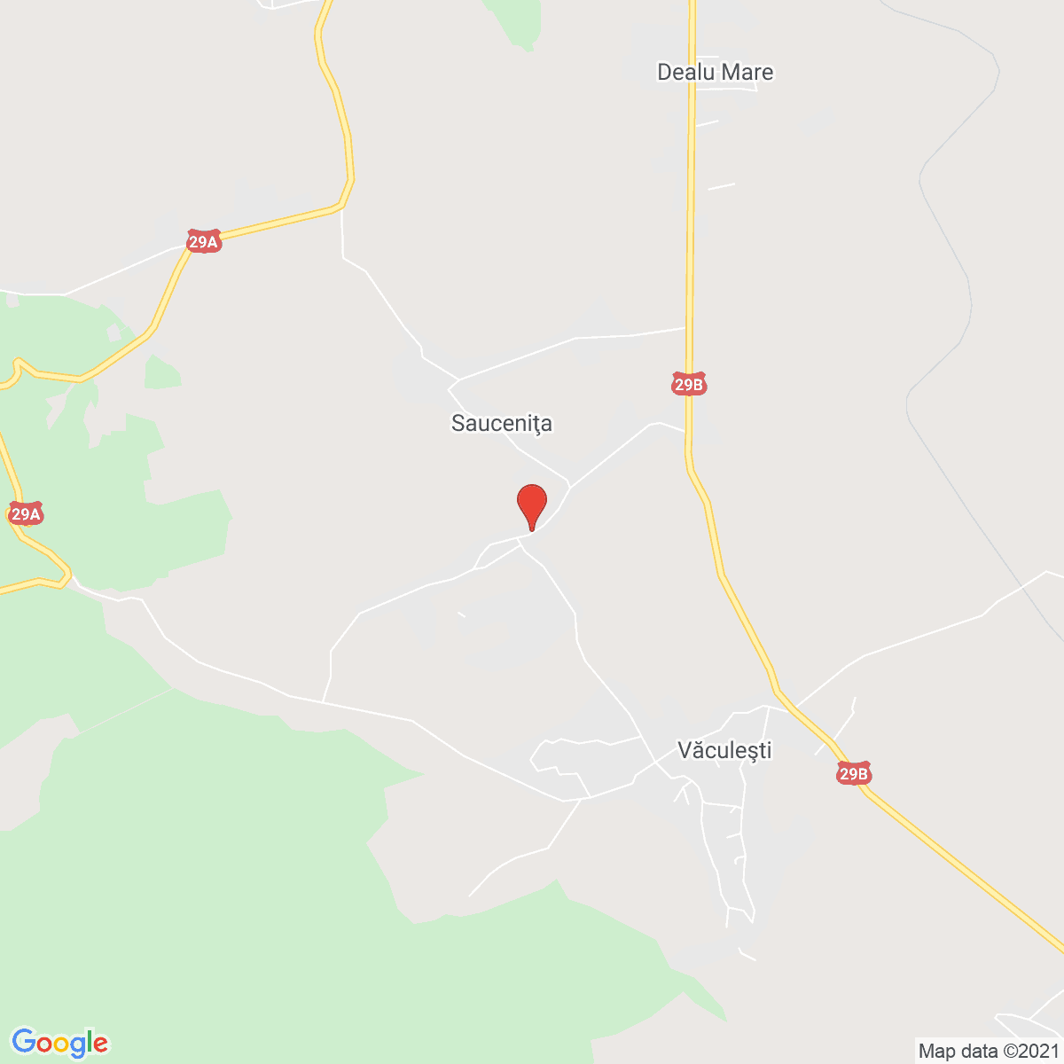 Saucenița