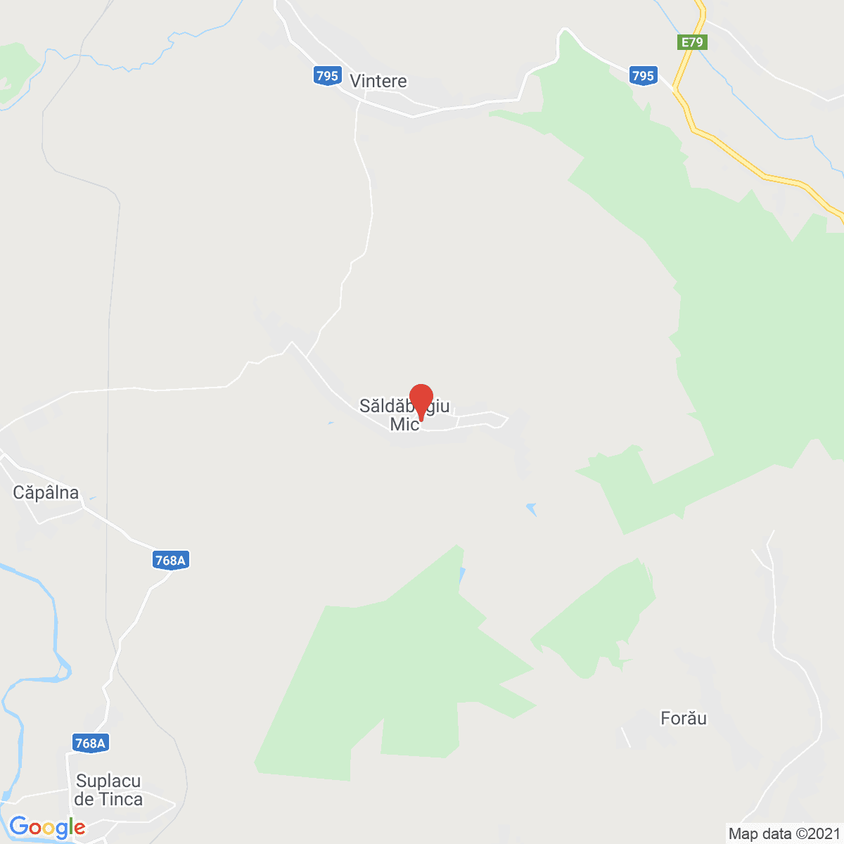 Săldăbagiu Mic