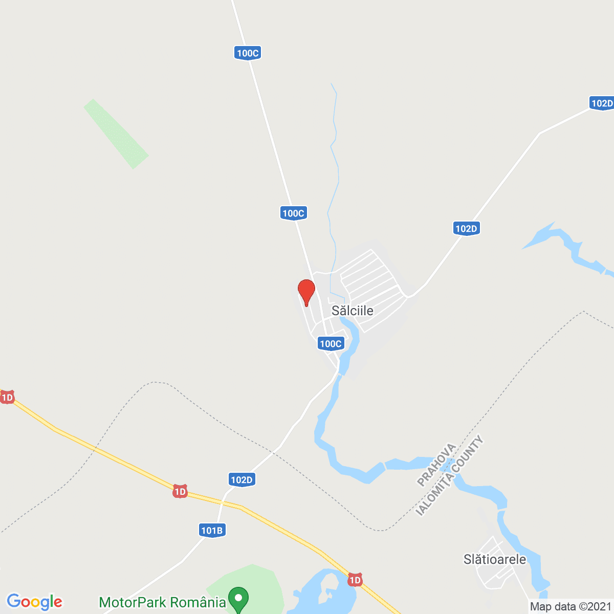 Sălciile