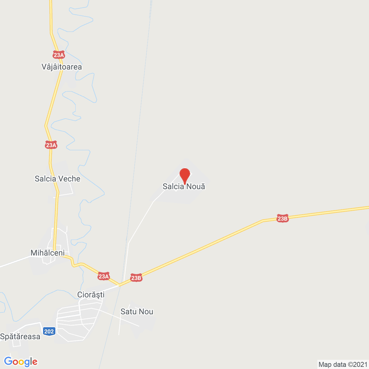 Salcia Nouă