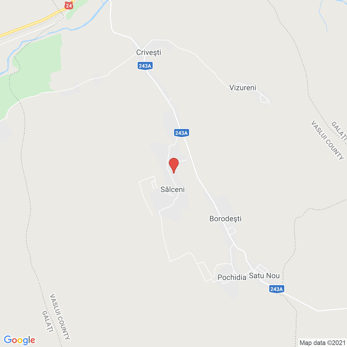 Sălceni