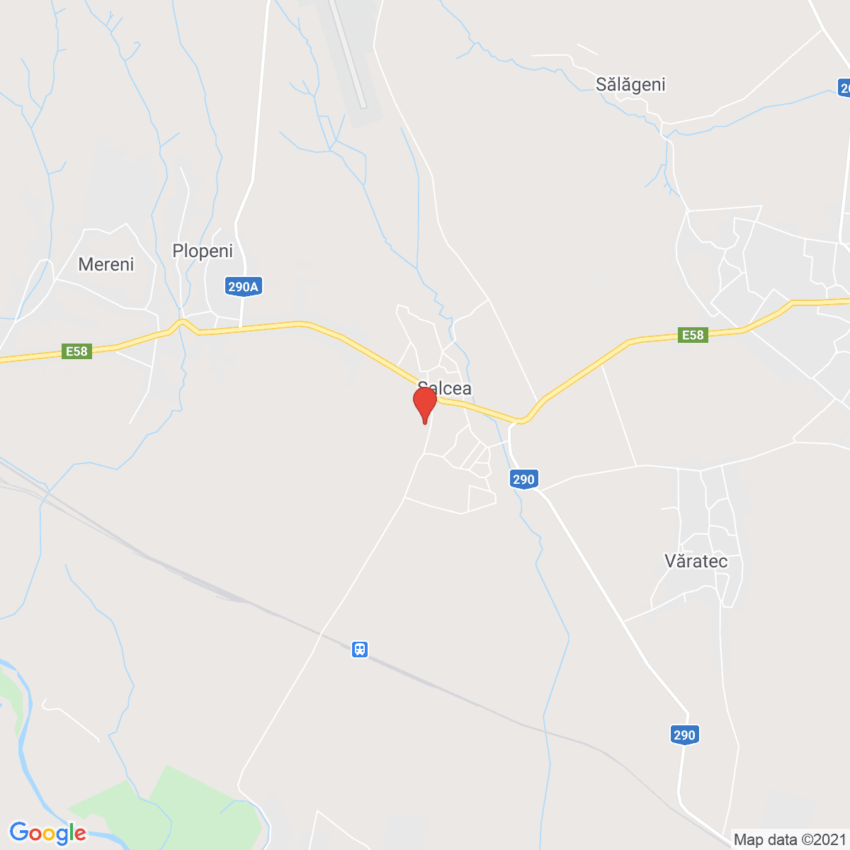 Salcea