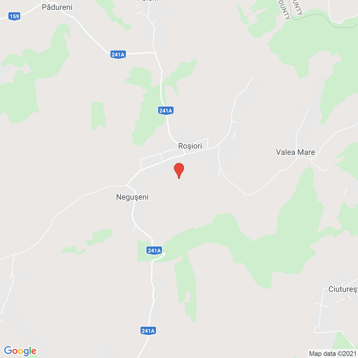 Roşiori