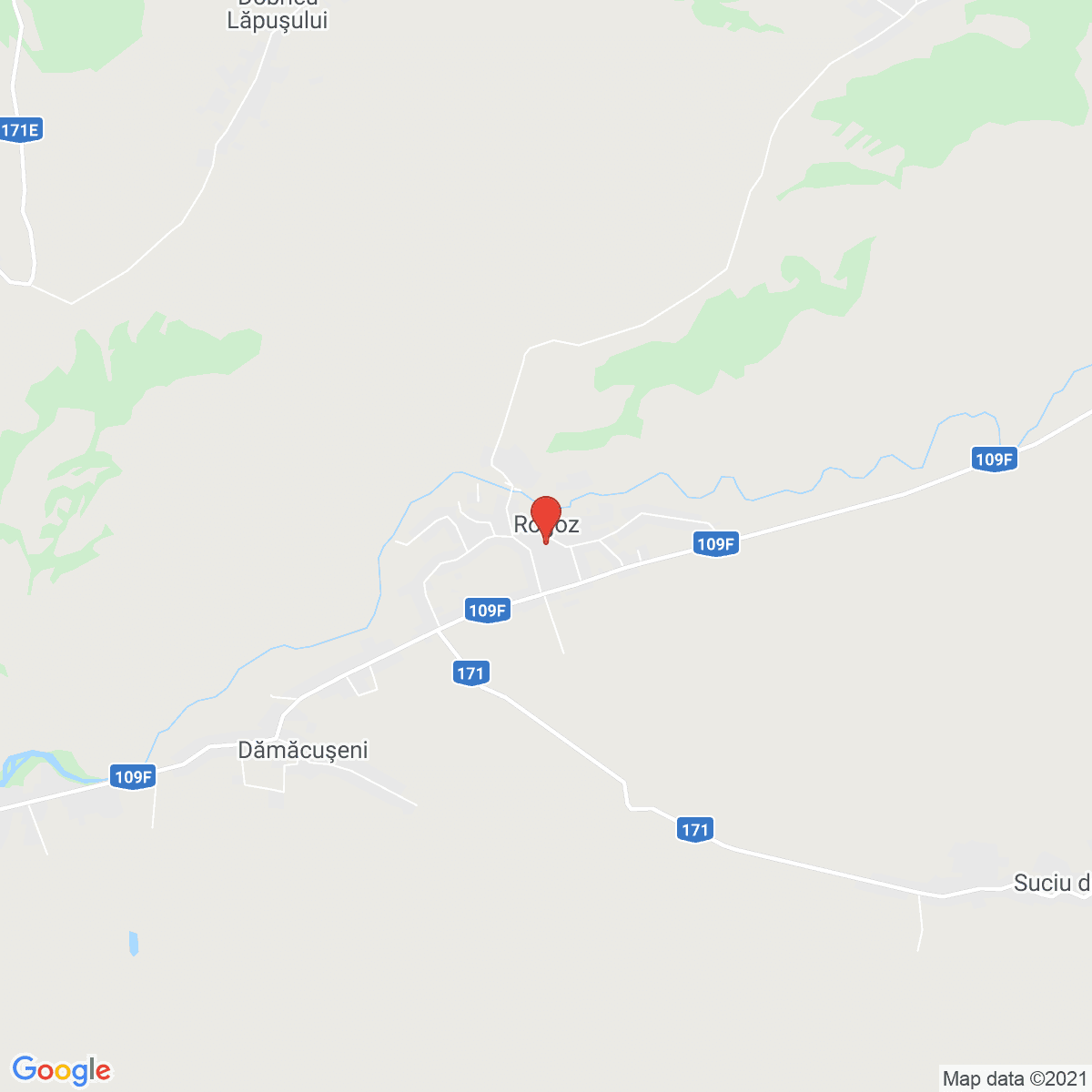 Rogoz