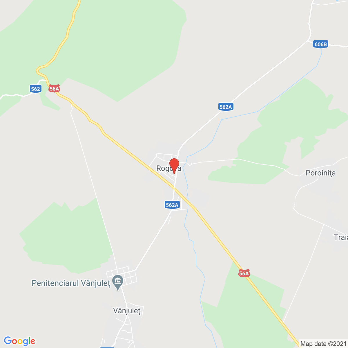 Rogova