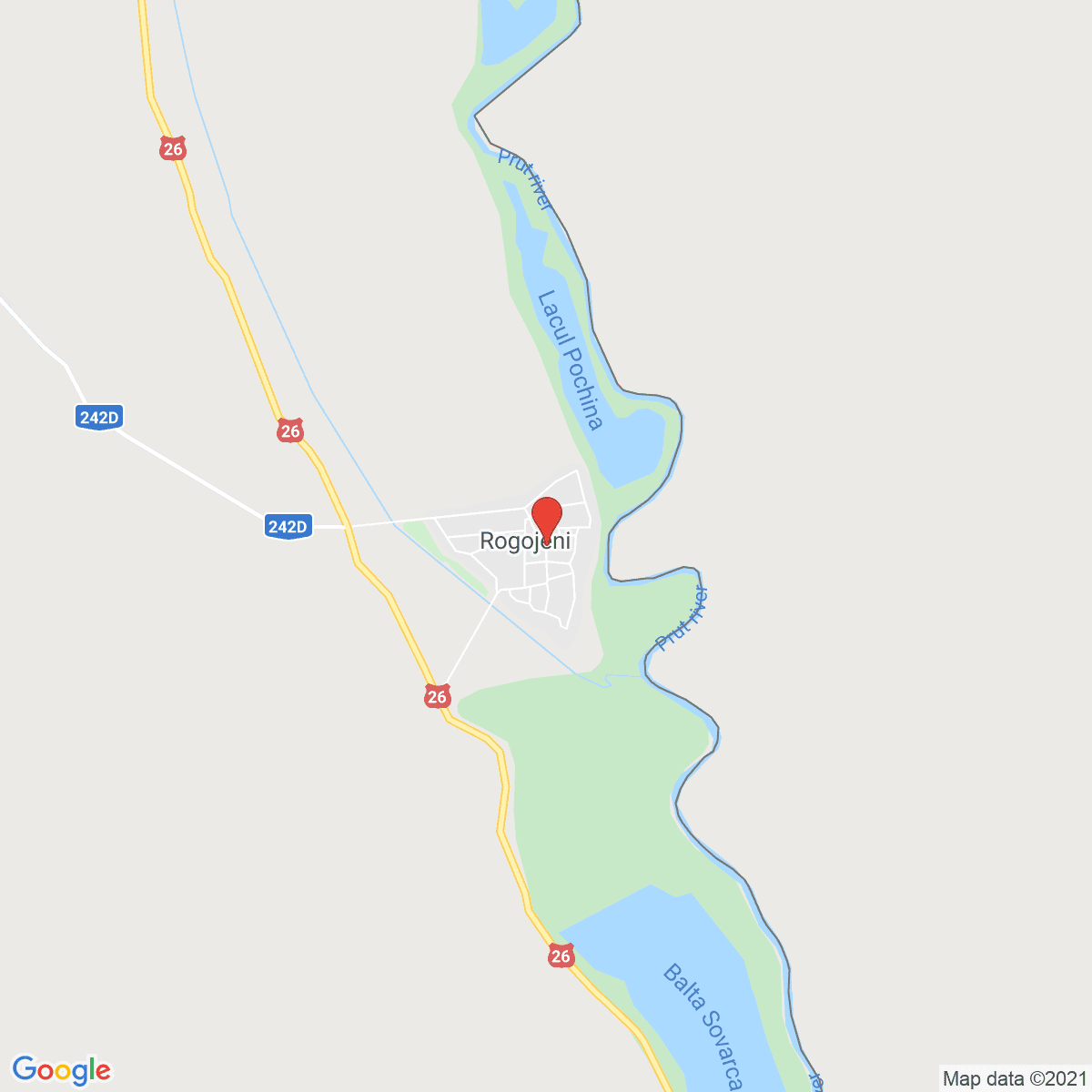 Rogojeni