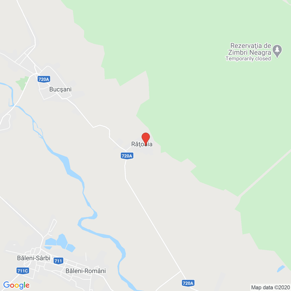 Rățoaia