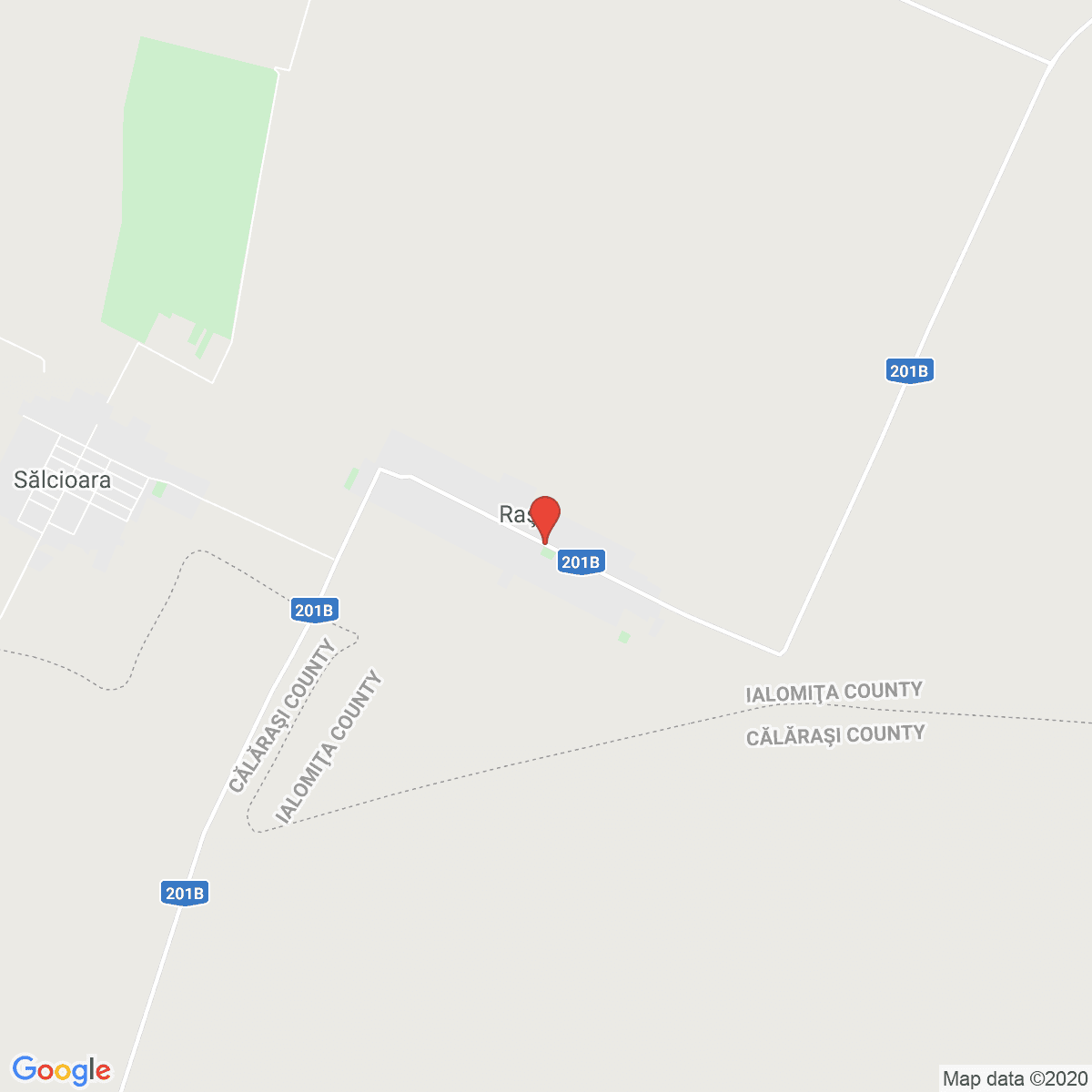Rași