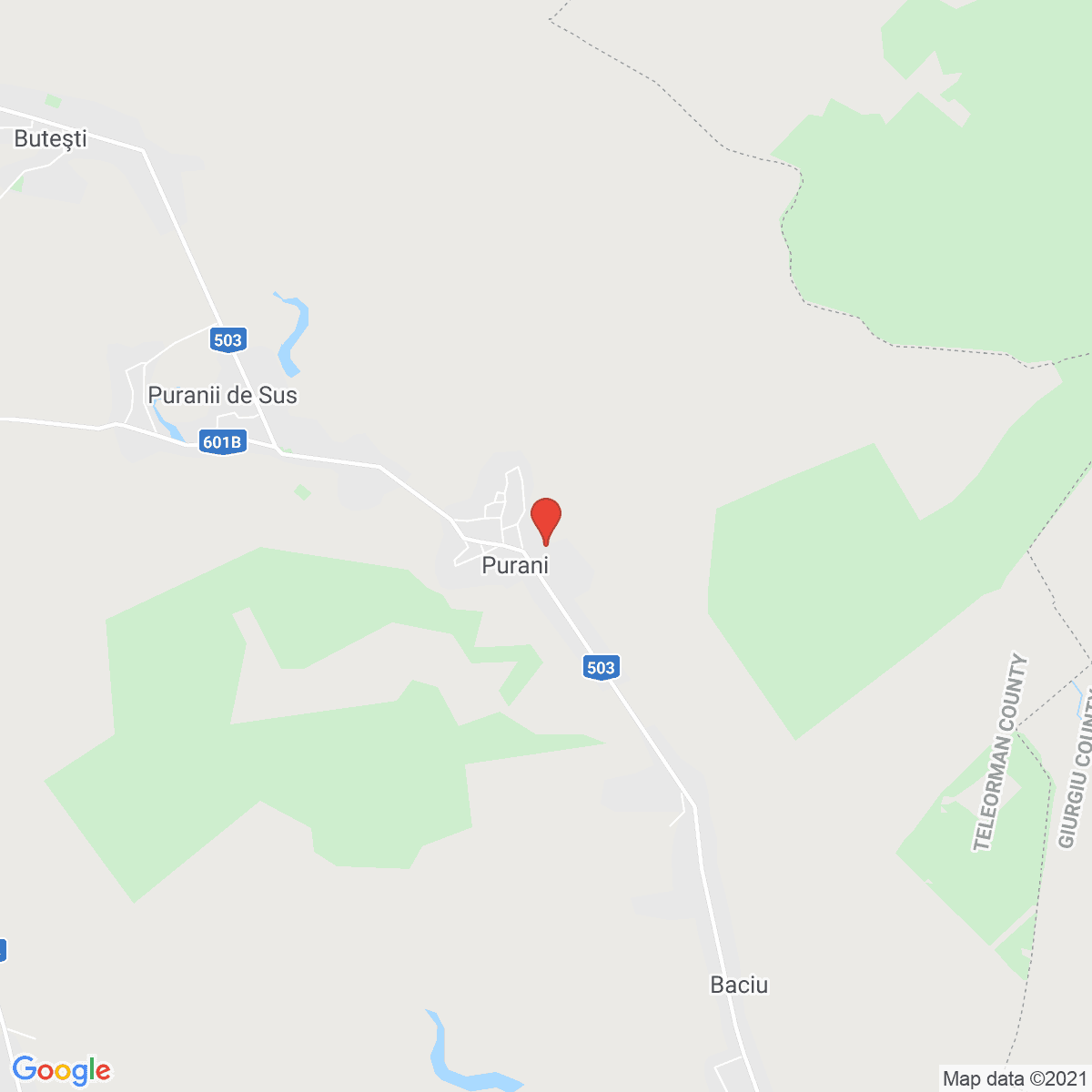 Purani