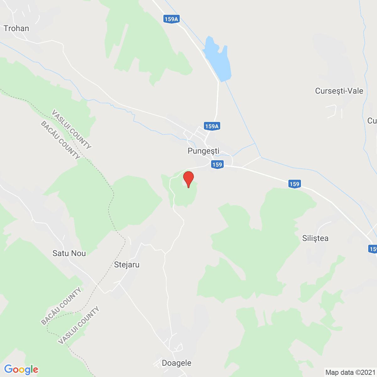 Pungeşti