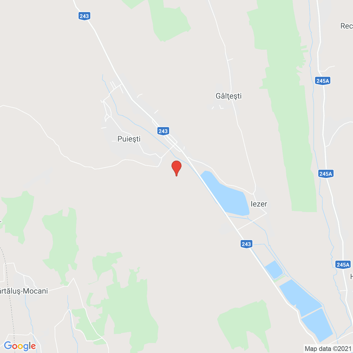 Puieşti