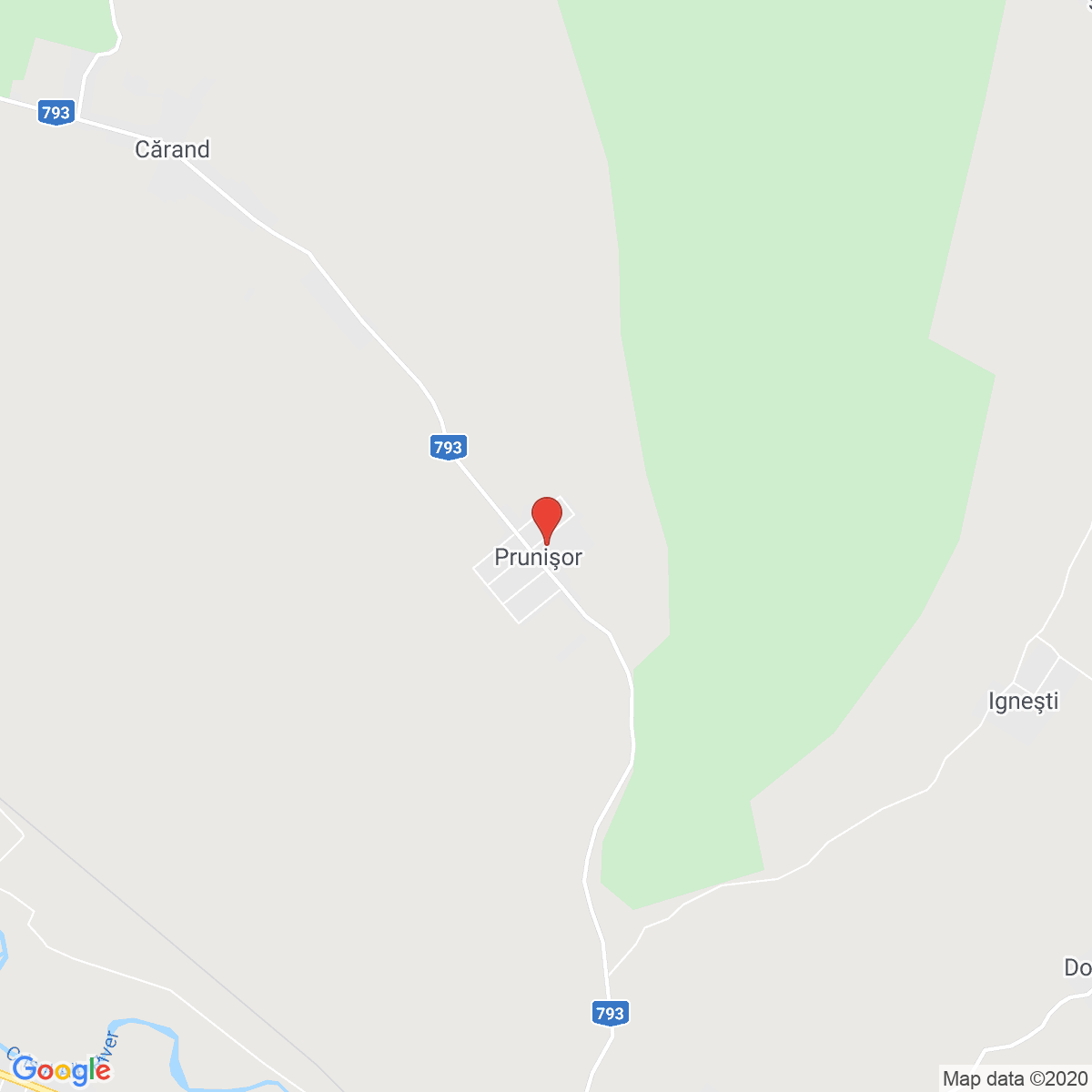 Prunișor
