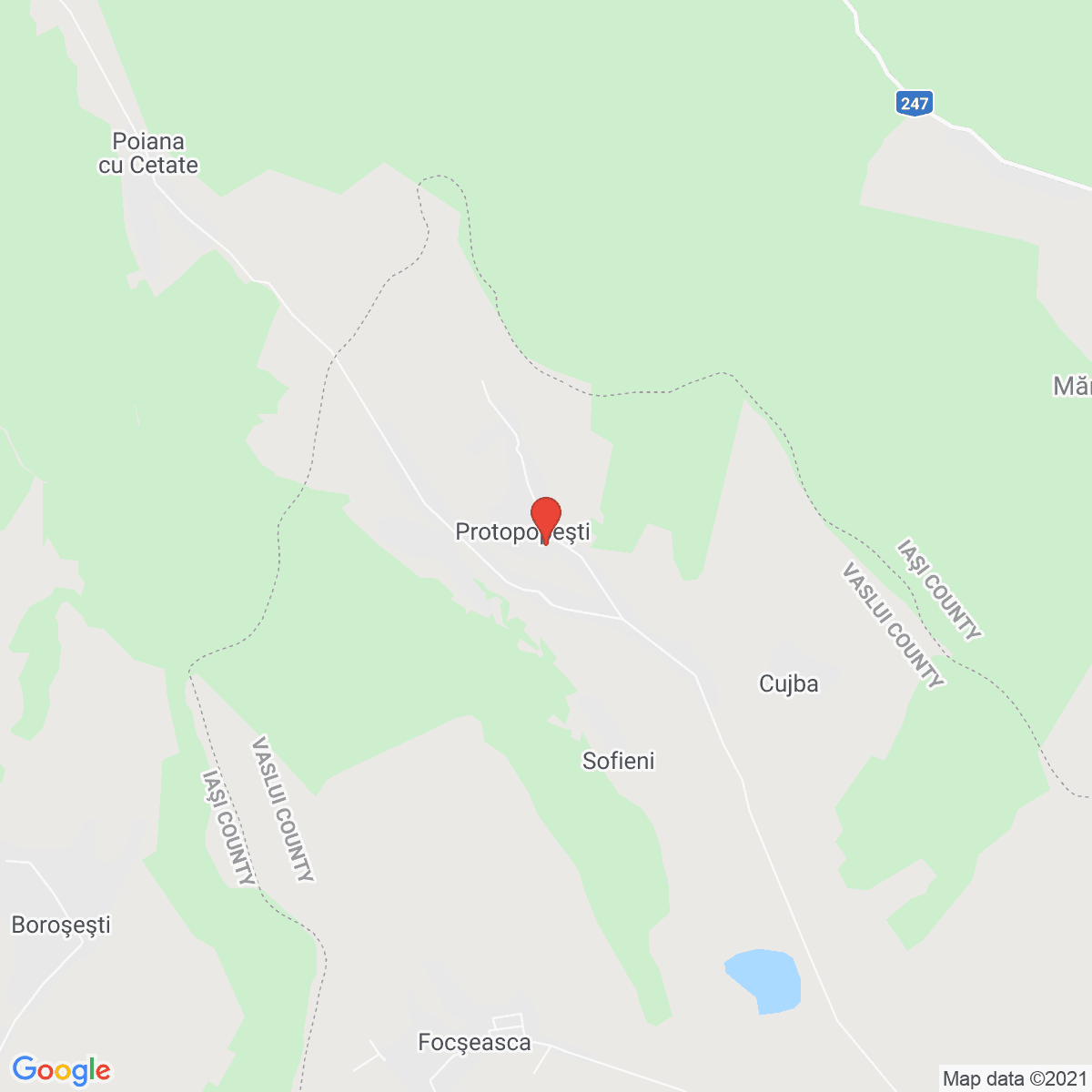 Protopopești