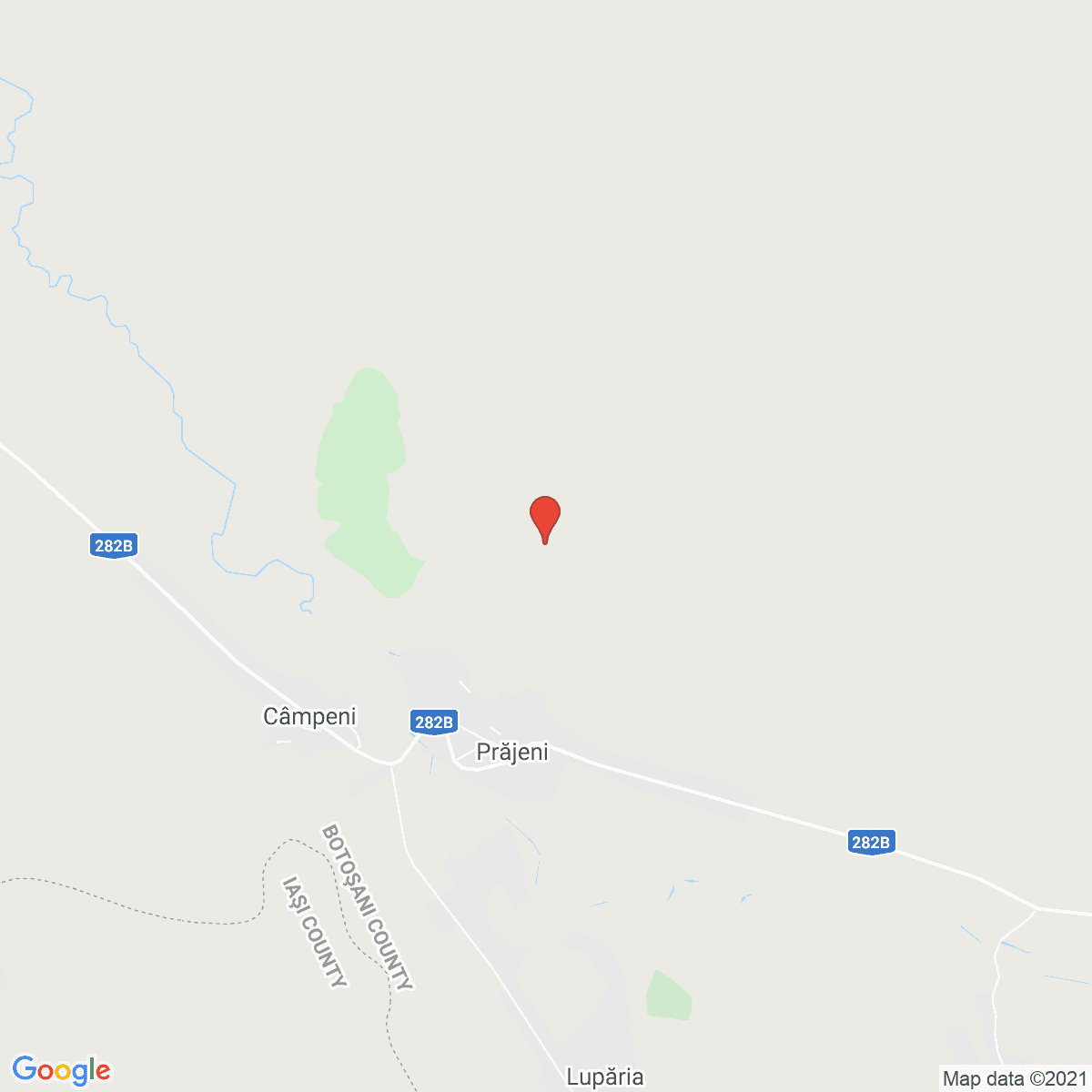 Prăjeni