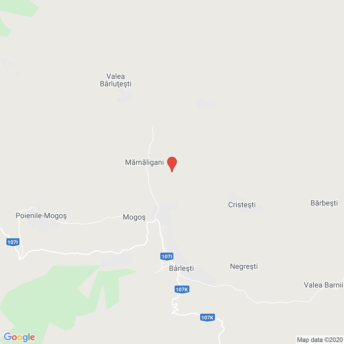 Poienile-Mogoş