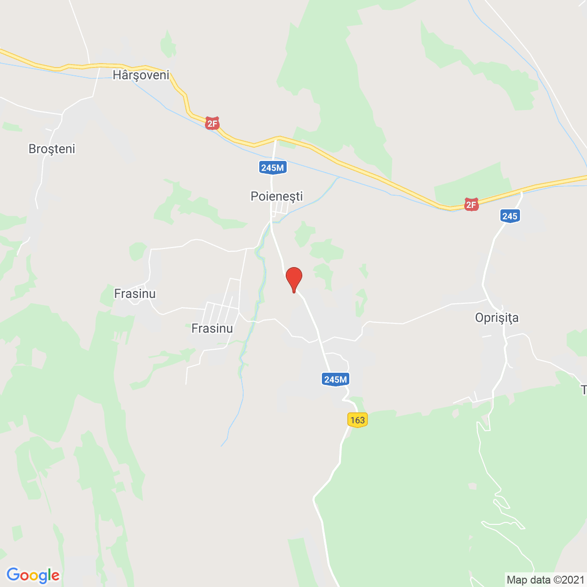 Poieneşti