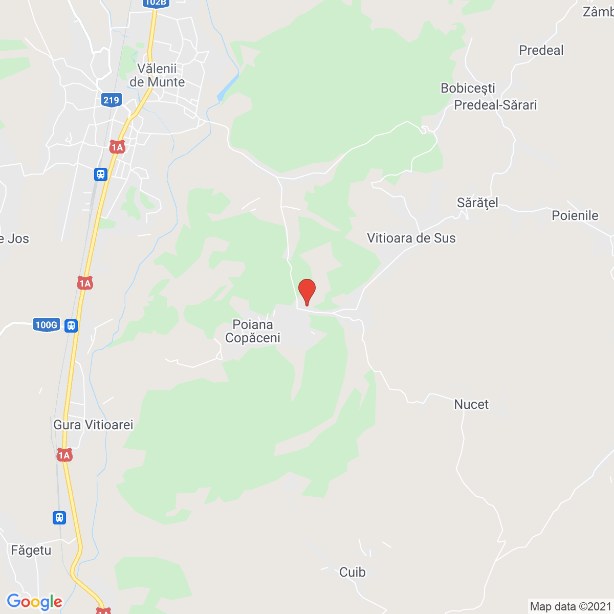 Poiana Copăceni