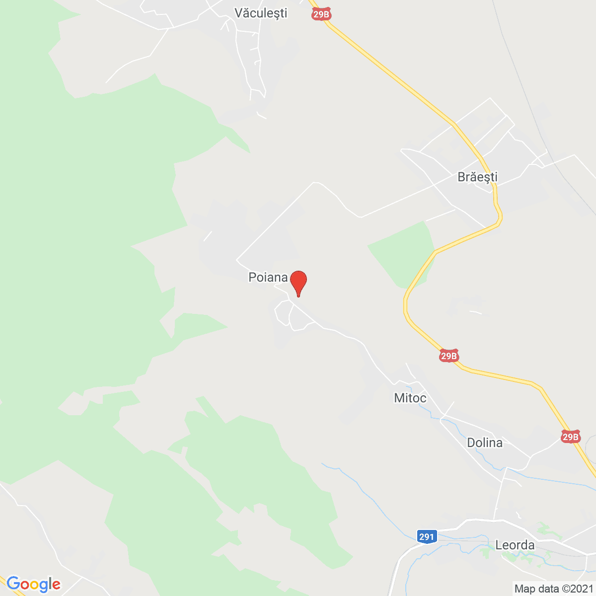 Poiana
