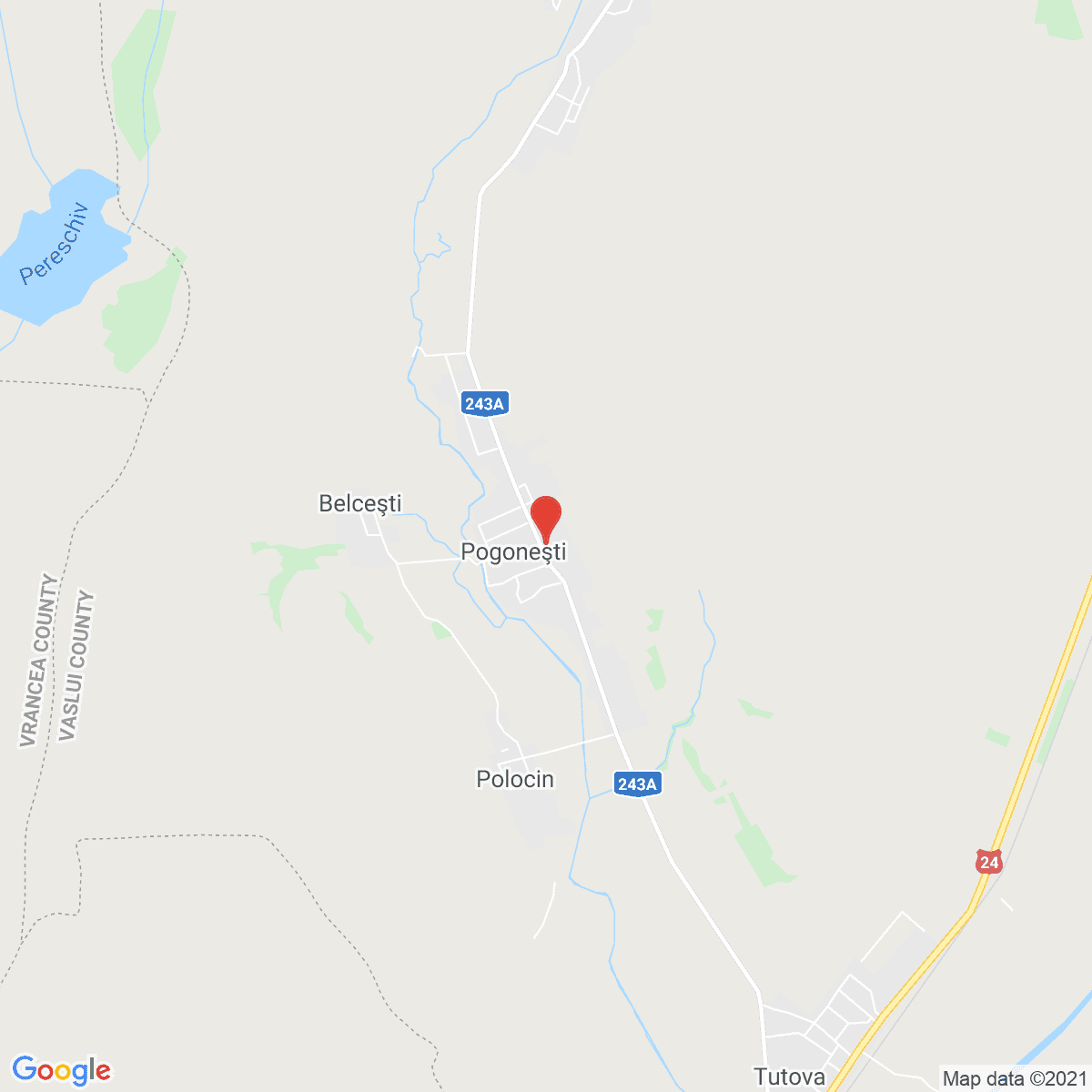 Pogonești