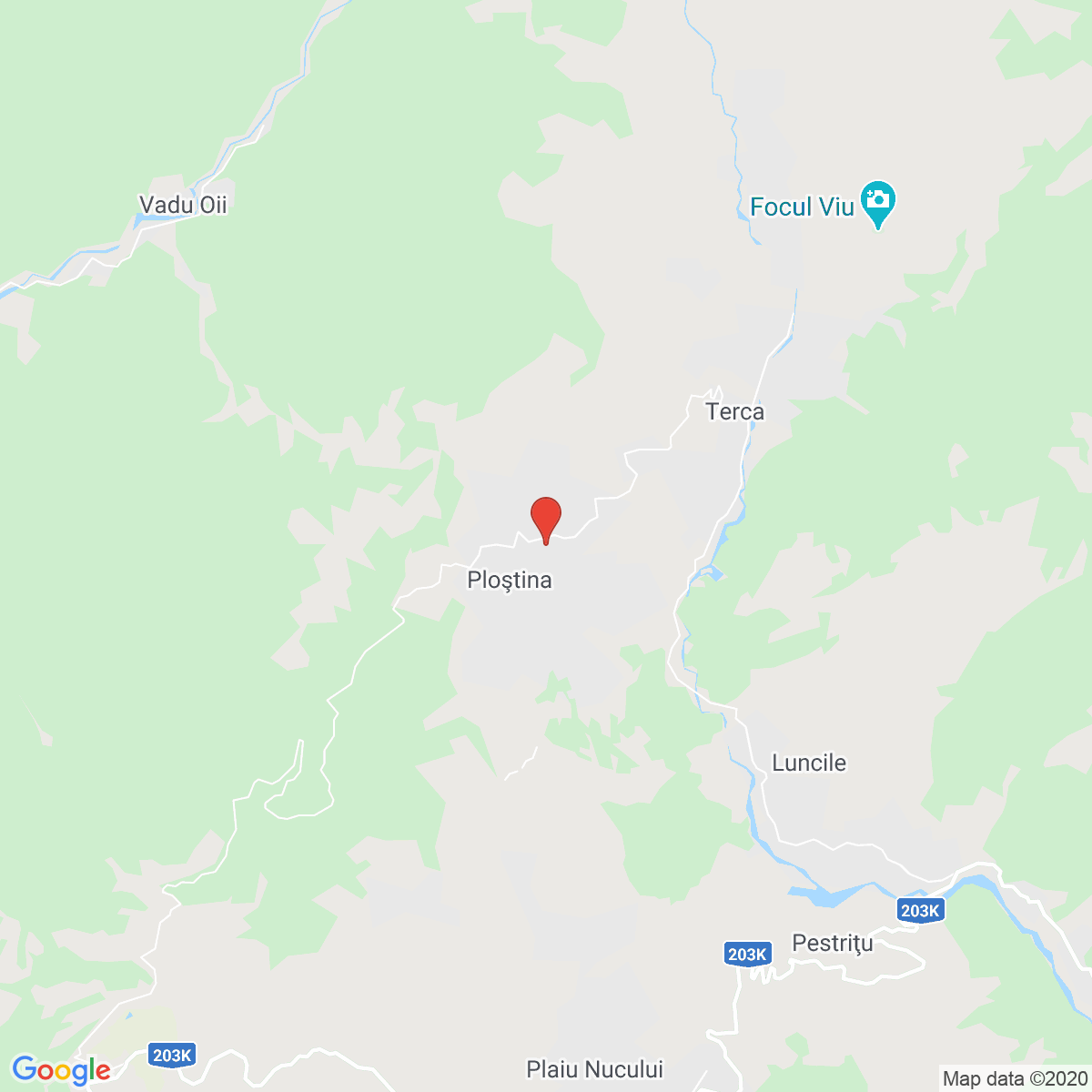 Ploștina