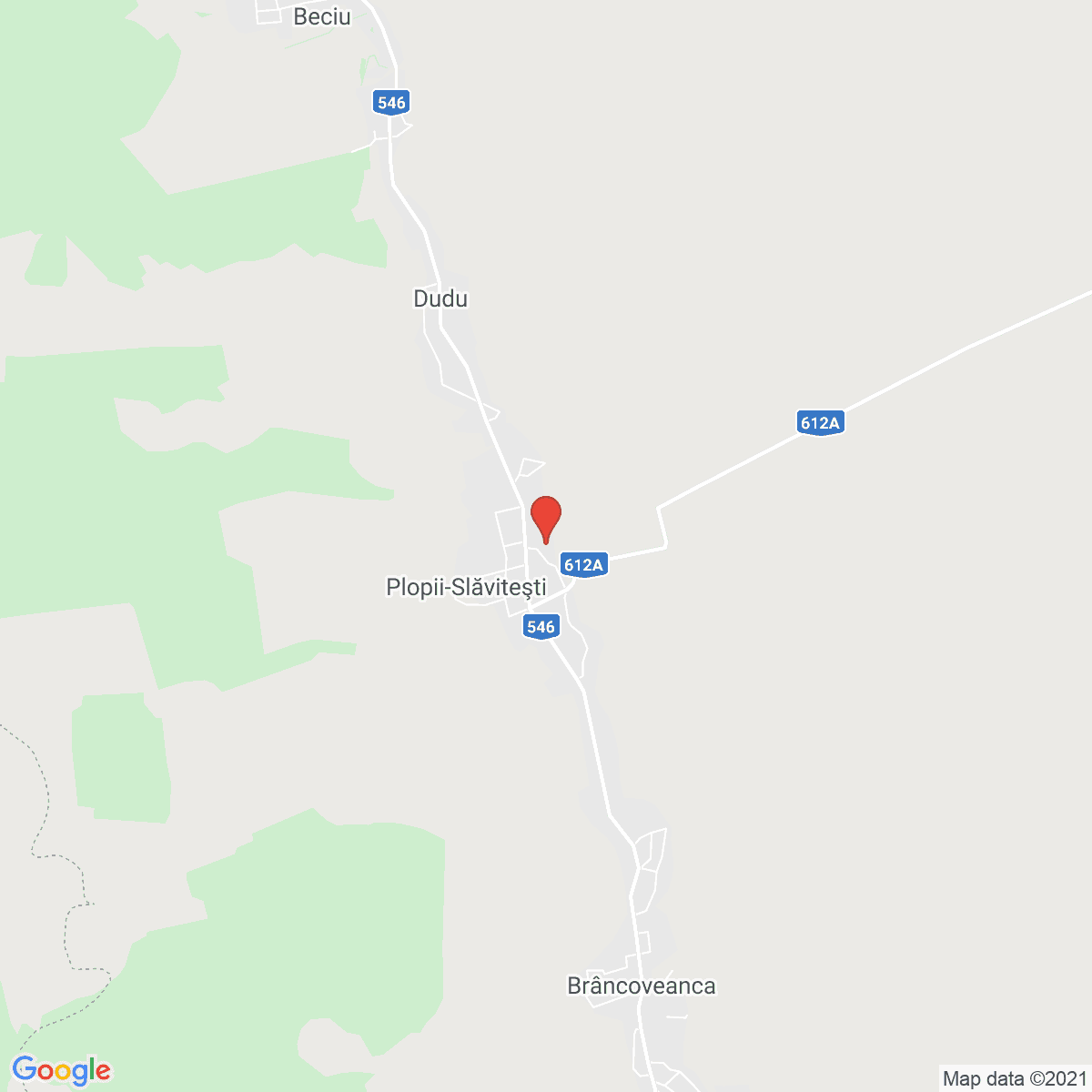 Plopii Slăviţeştí