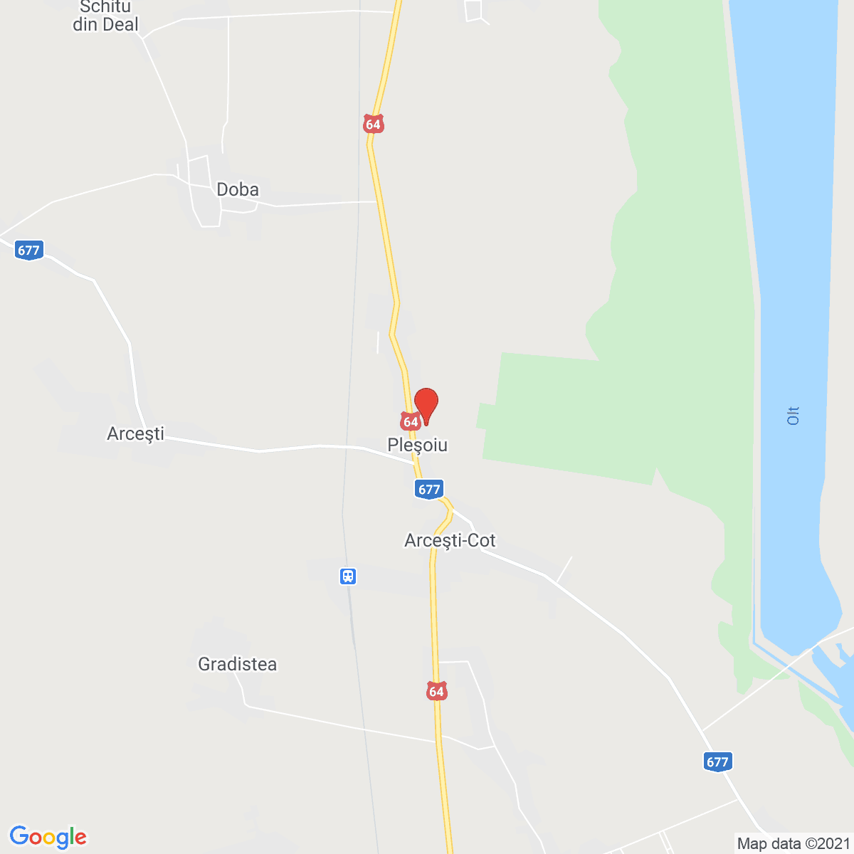Pleşoiu