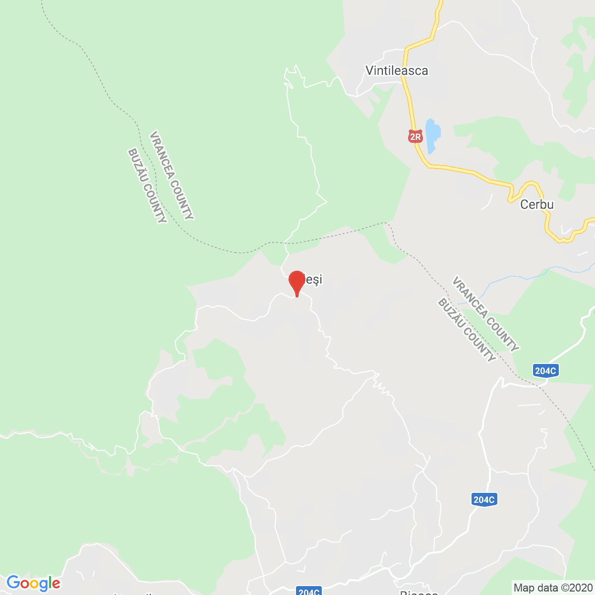 Pleși