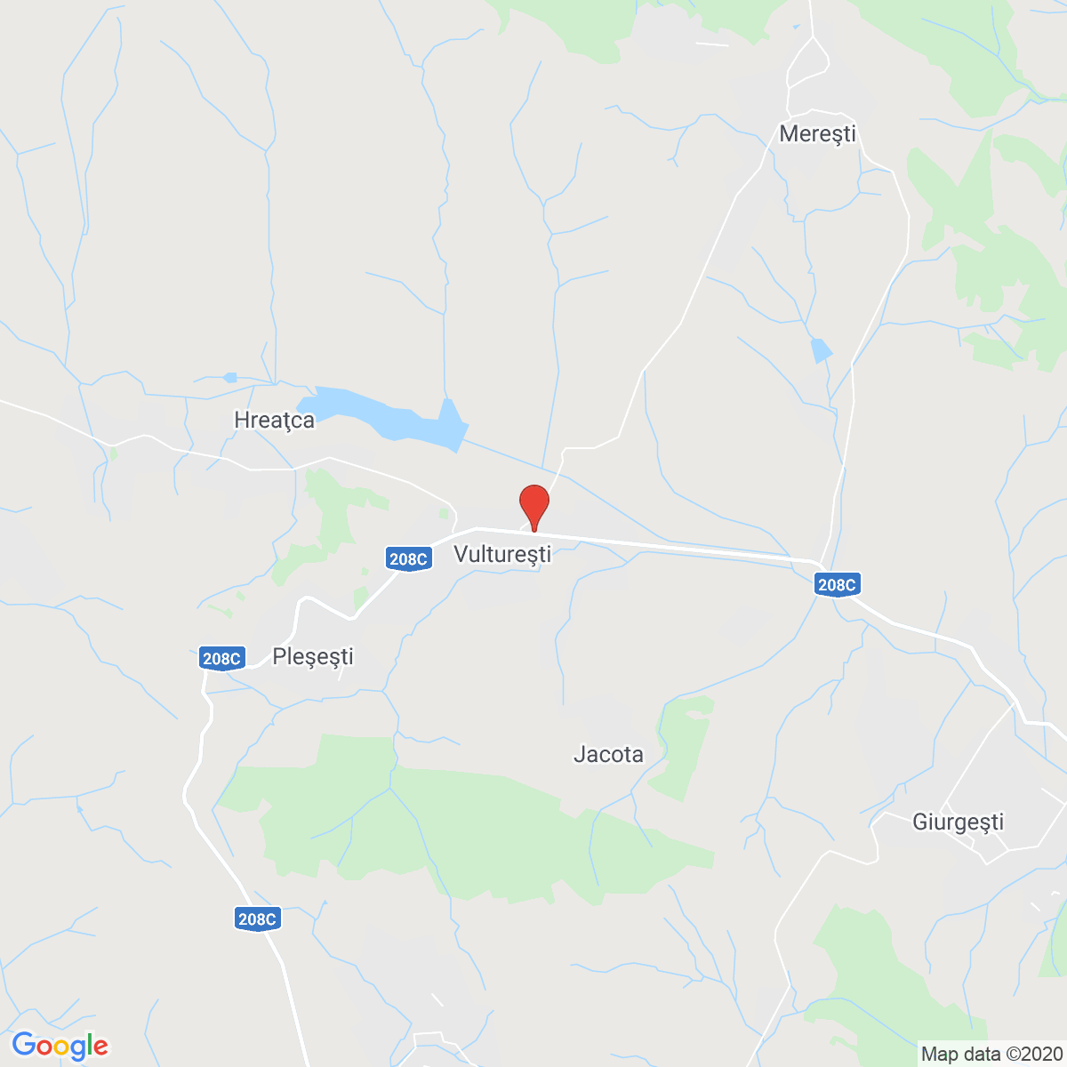 Pleșești