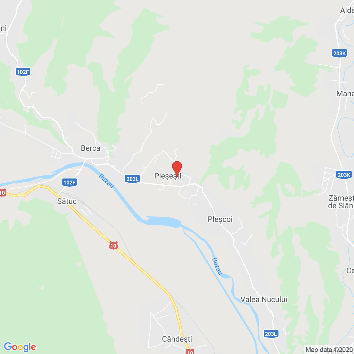 Pleșești