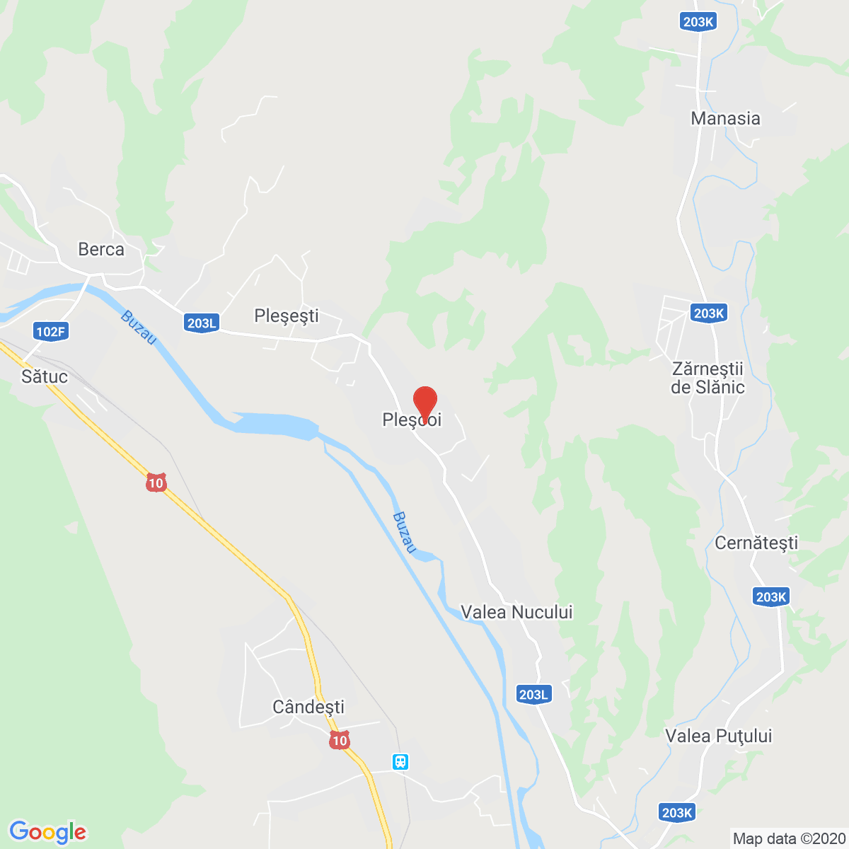 Pleșcoi