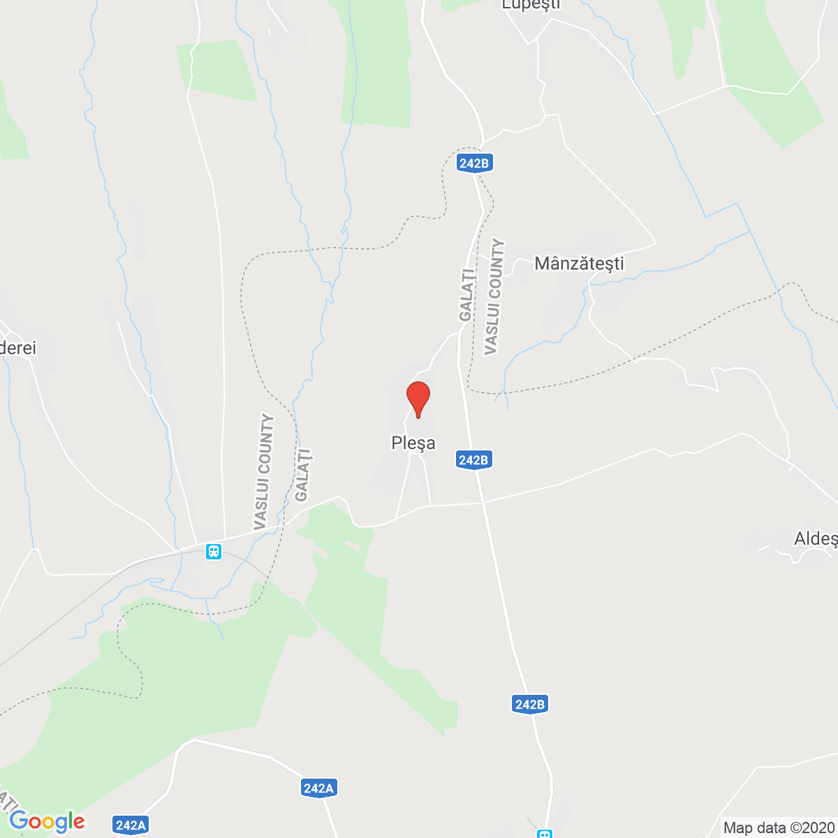 Pleșa