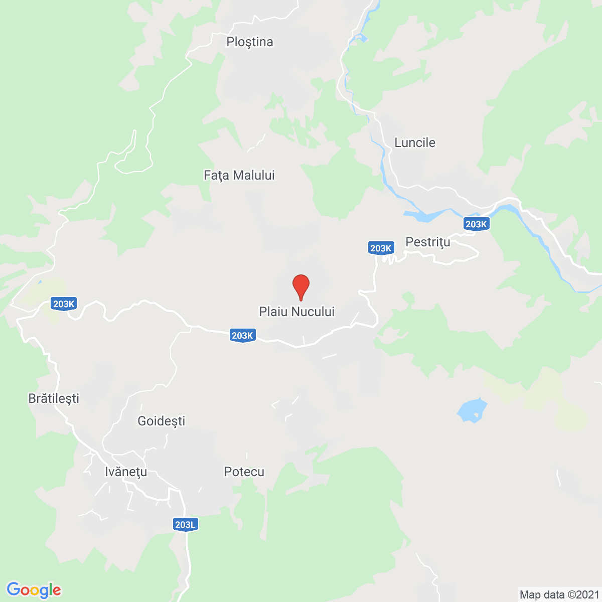 Plaiu Nucului