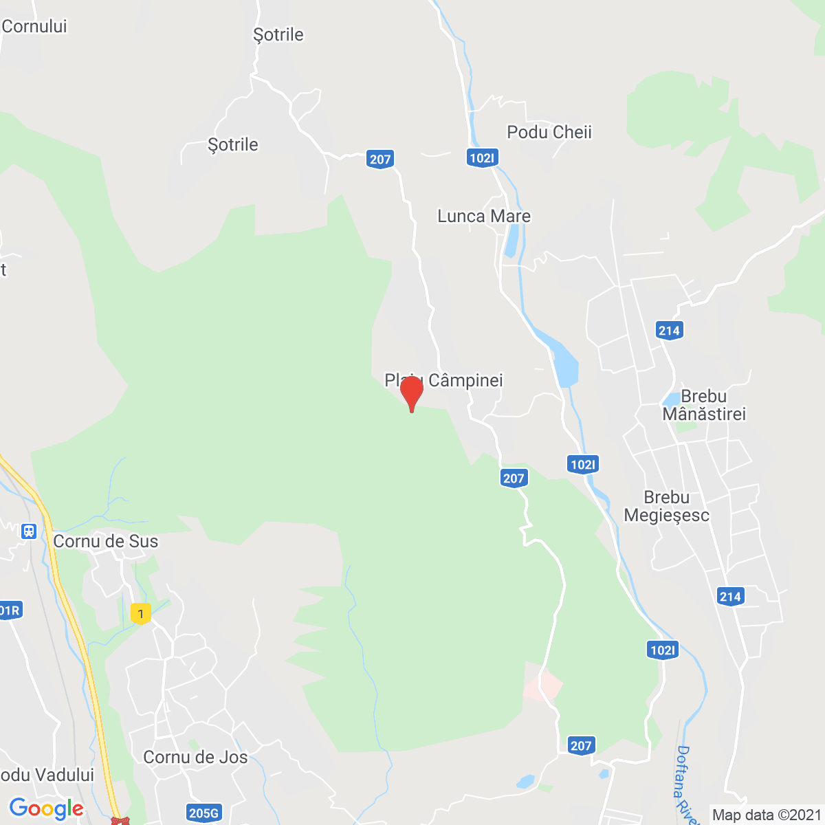 Plaiu Câmpinei