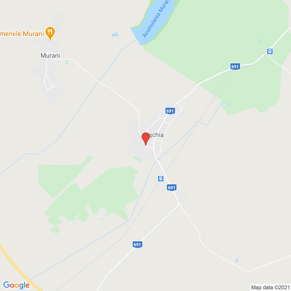 Pişchia