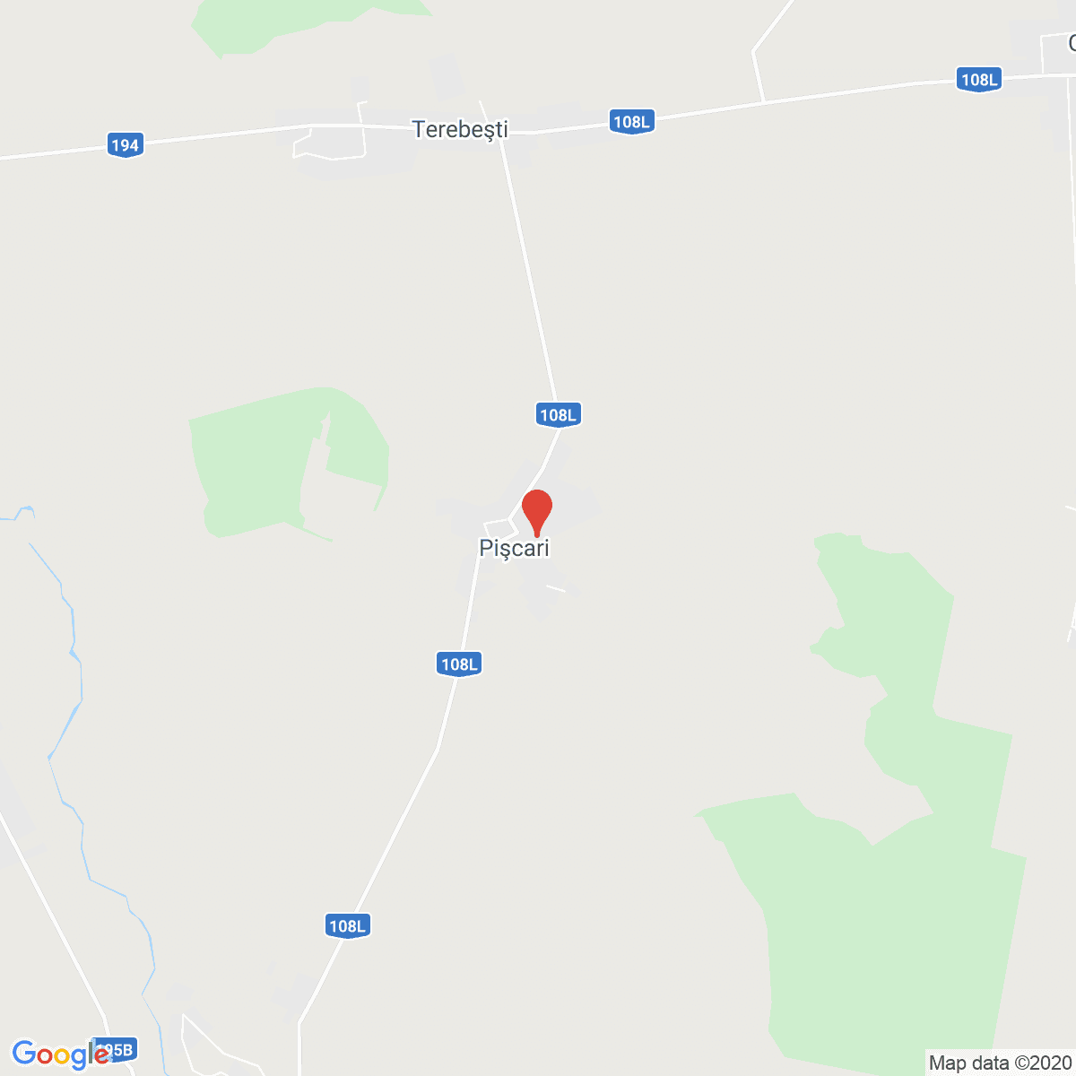 Pișcari