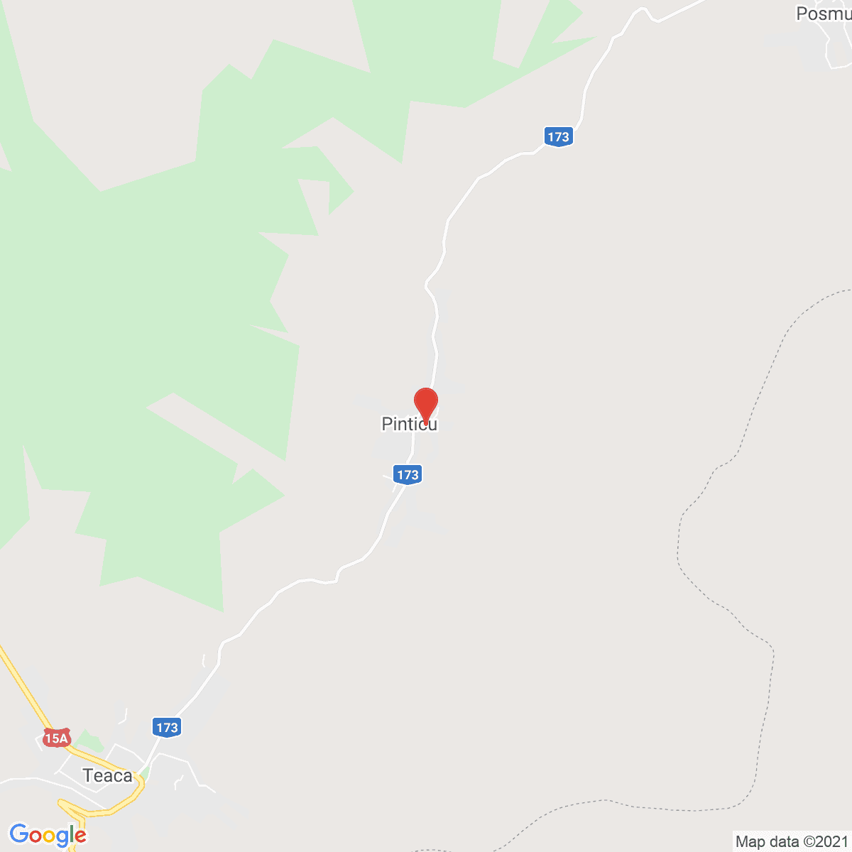 Pinticu